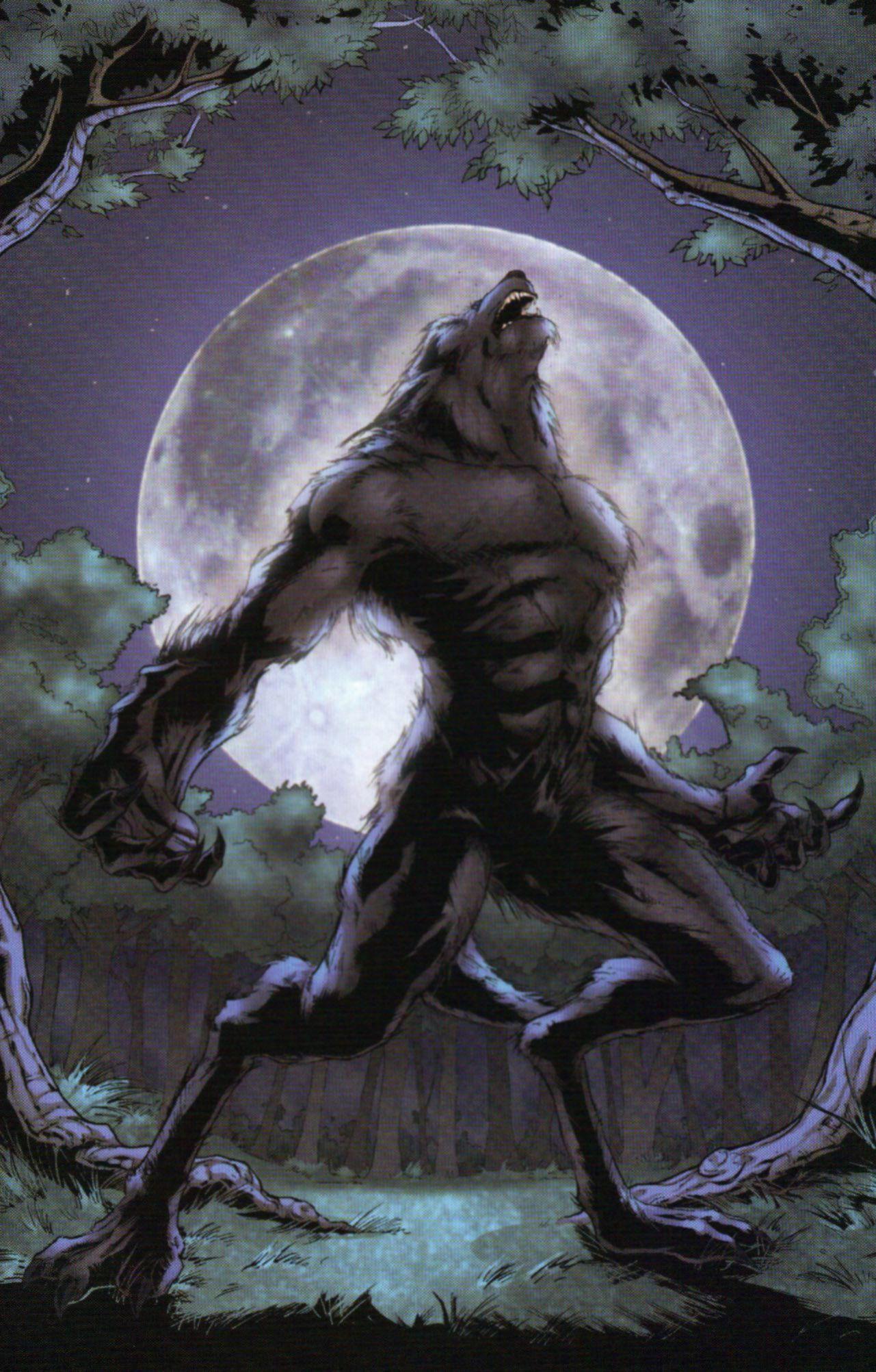 1281x2004 Werewolf Wallpaper