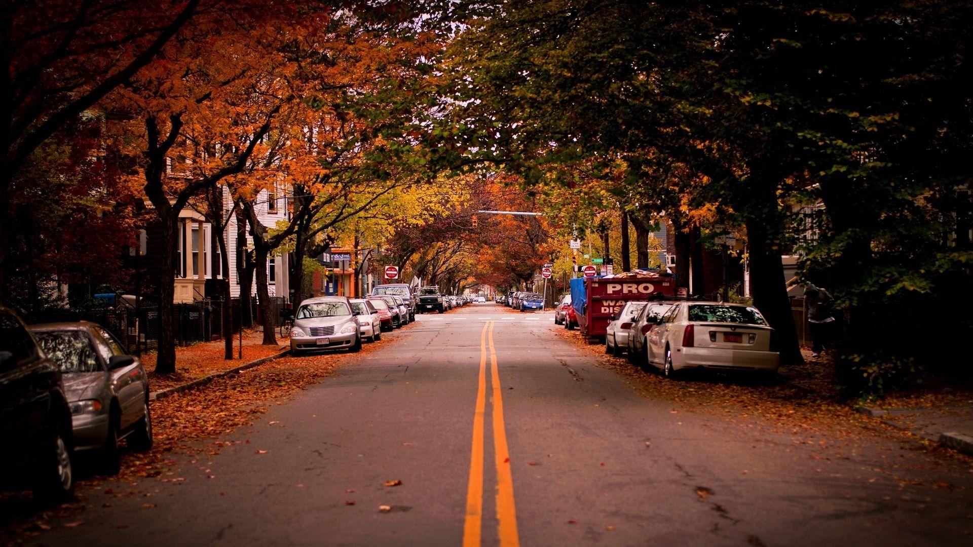 1920x1080 Download wallpaper 1920x1080 road, trees, cambridge, car