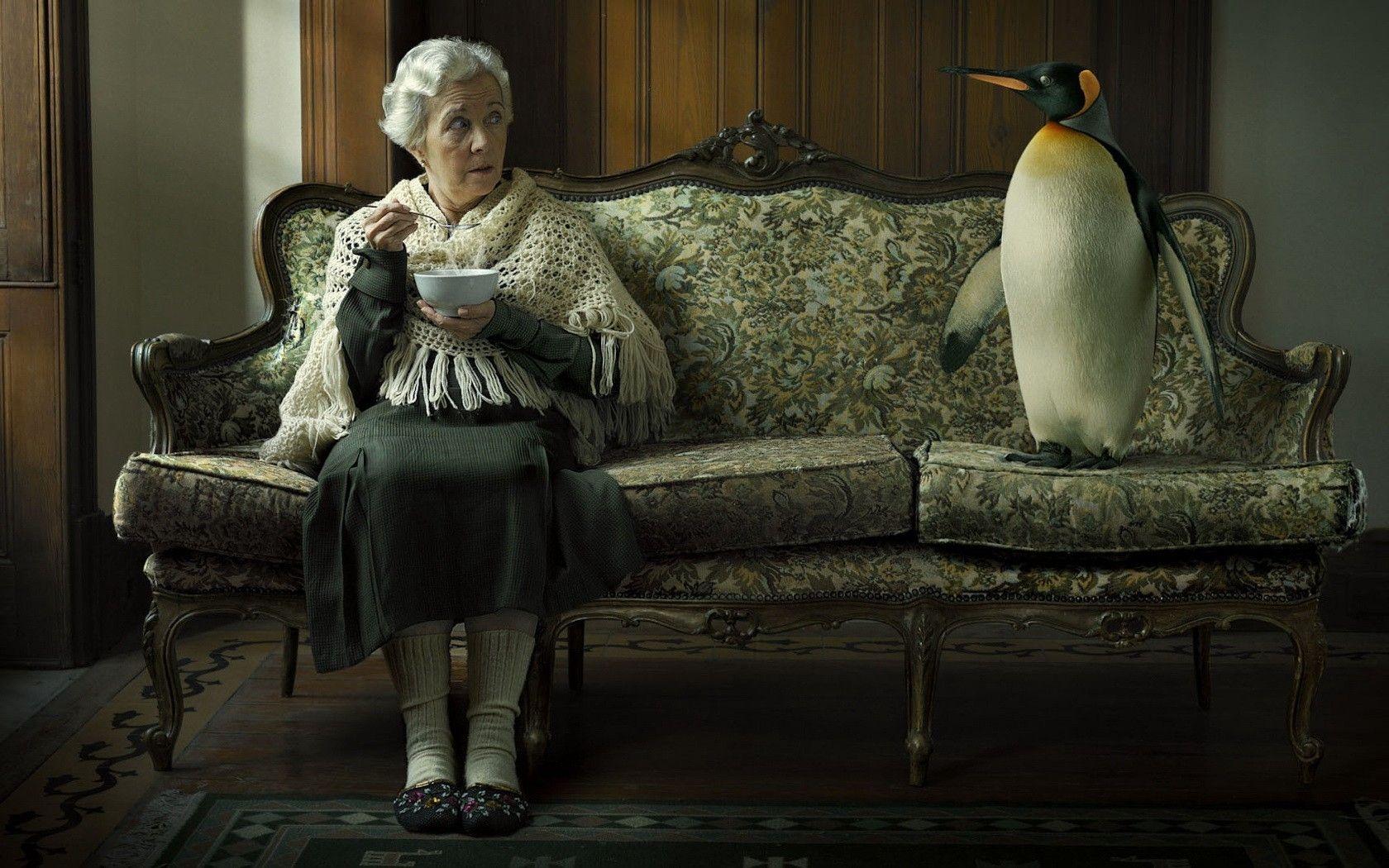1680x1050 animals penguins old people 1680x1050 wallpaper High Quality