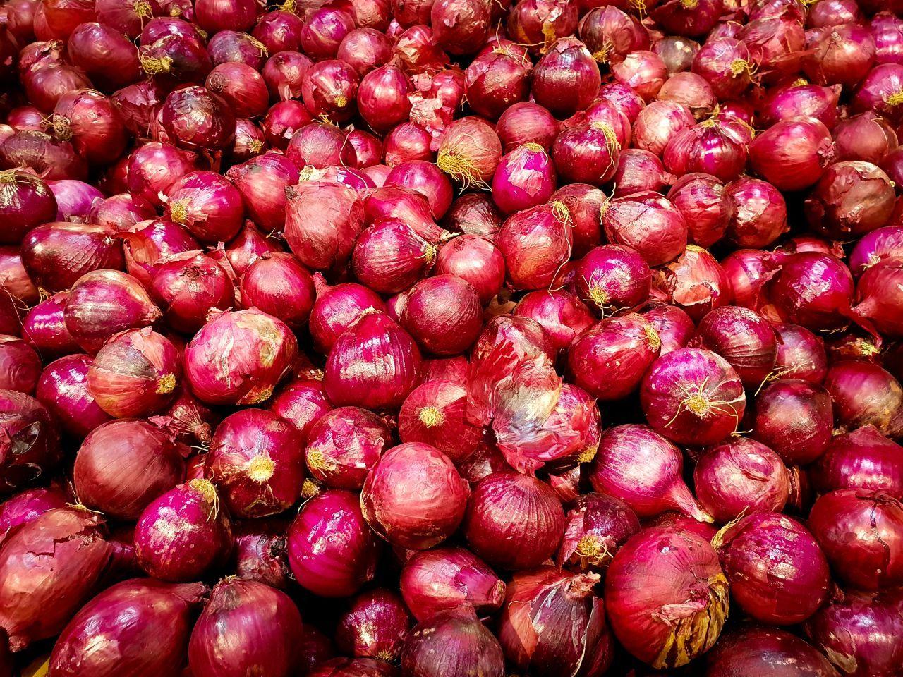 Onion Wallpapers - Top Free Onion Backgrounds - WallpaperAccess