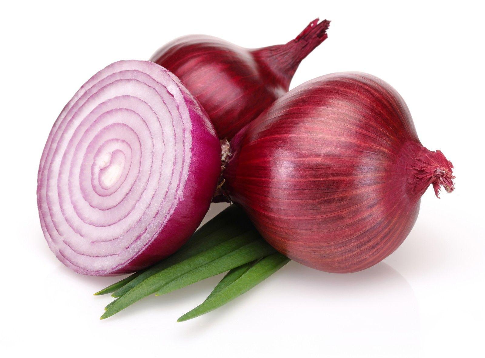 Onion Wallpapers Top Free Onion Backgrounds WallpaperAccess