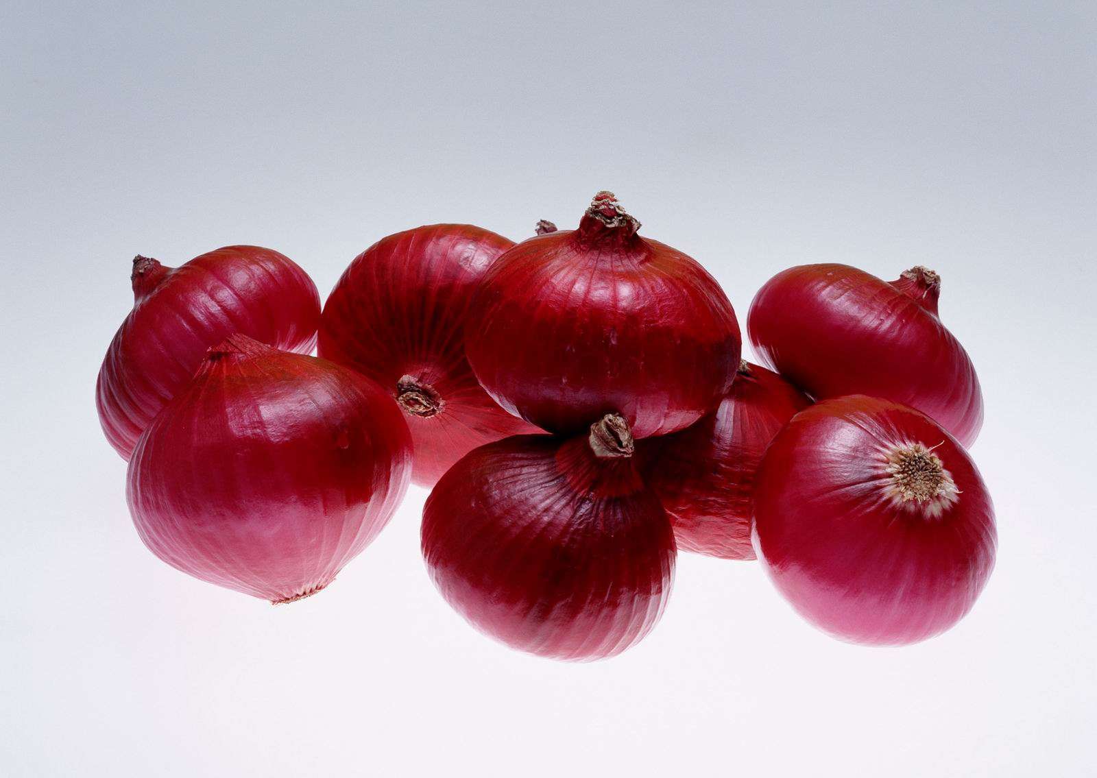 1600x1135 Onion Wallpaper