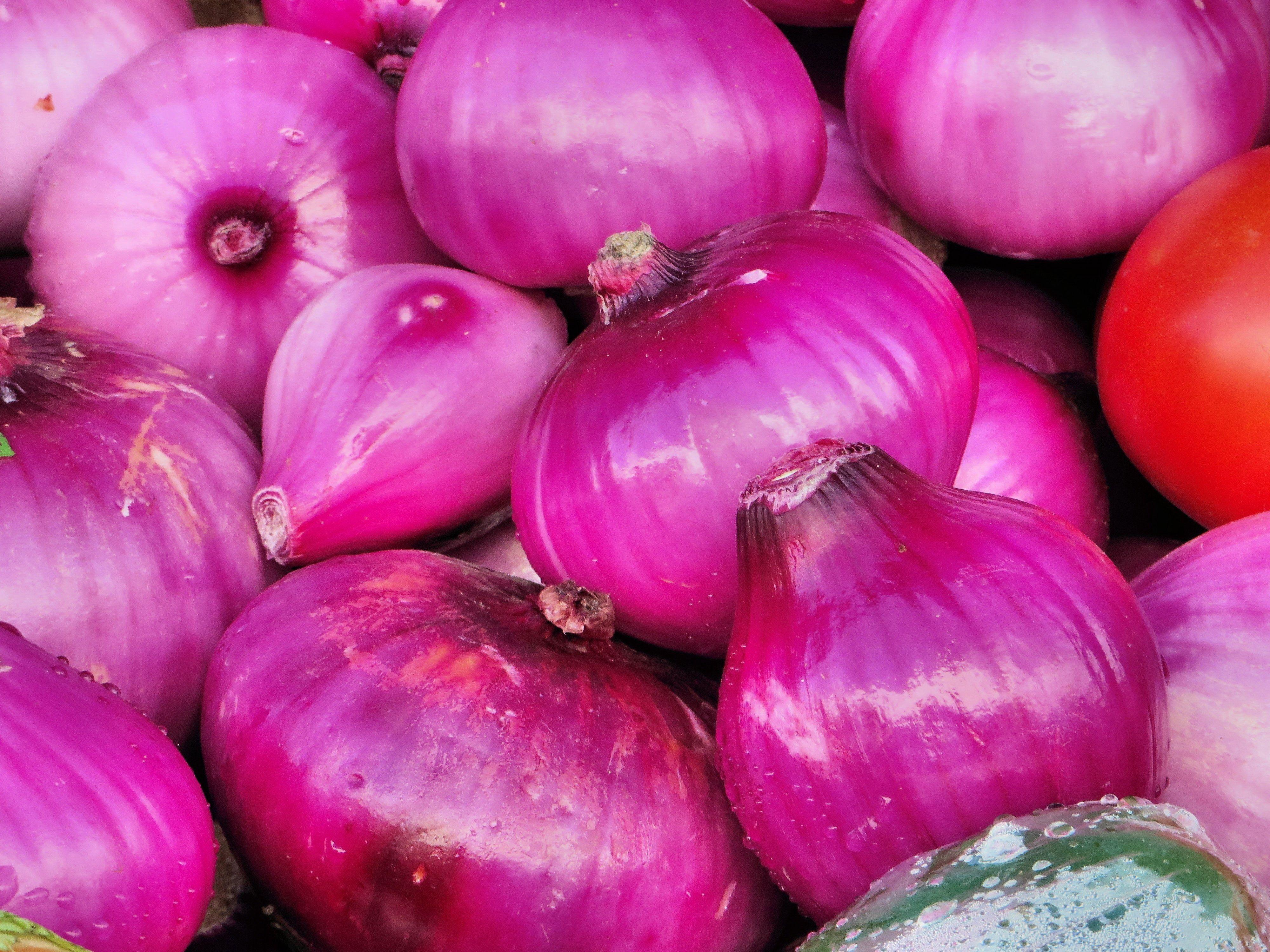 Onion Wallpapers - Top Free Onion Backgrounds - WallpaperAccess