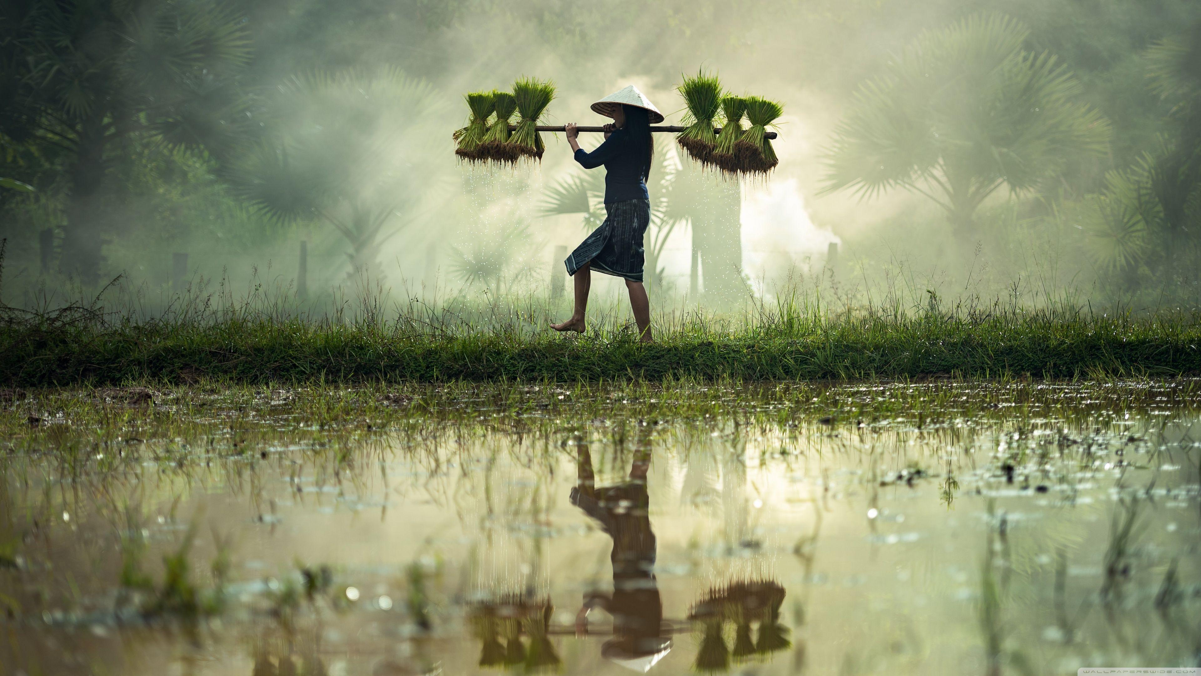 4K Ultra HD Culture Wallpapers - Top Free 4K Ultra HD Culture