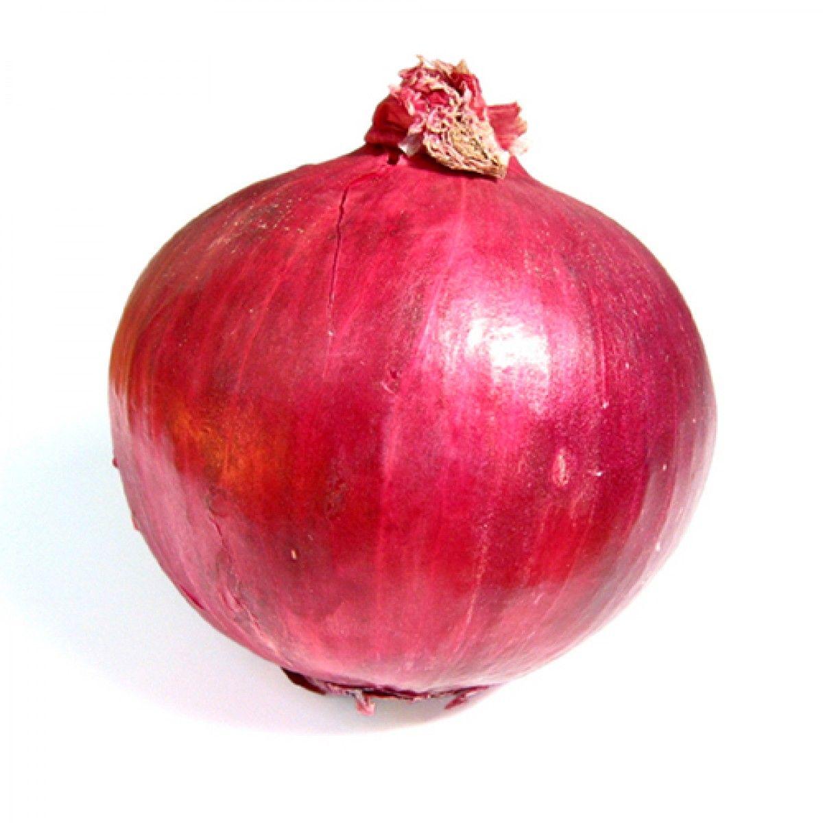 Onion Wallpapers - Top Free Onion Backgrounds - WallpaperAccess