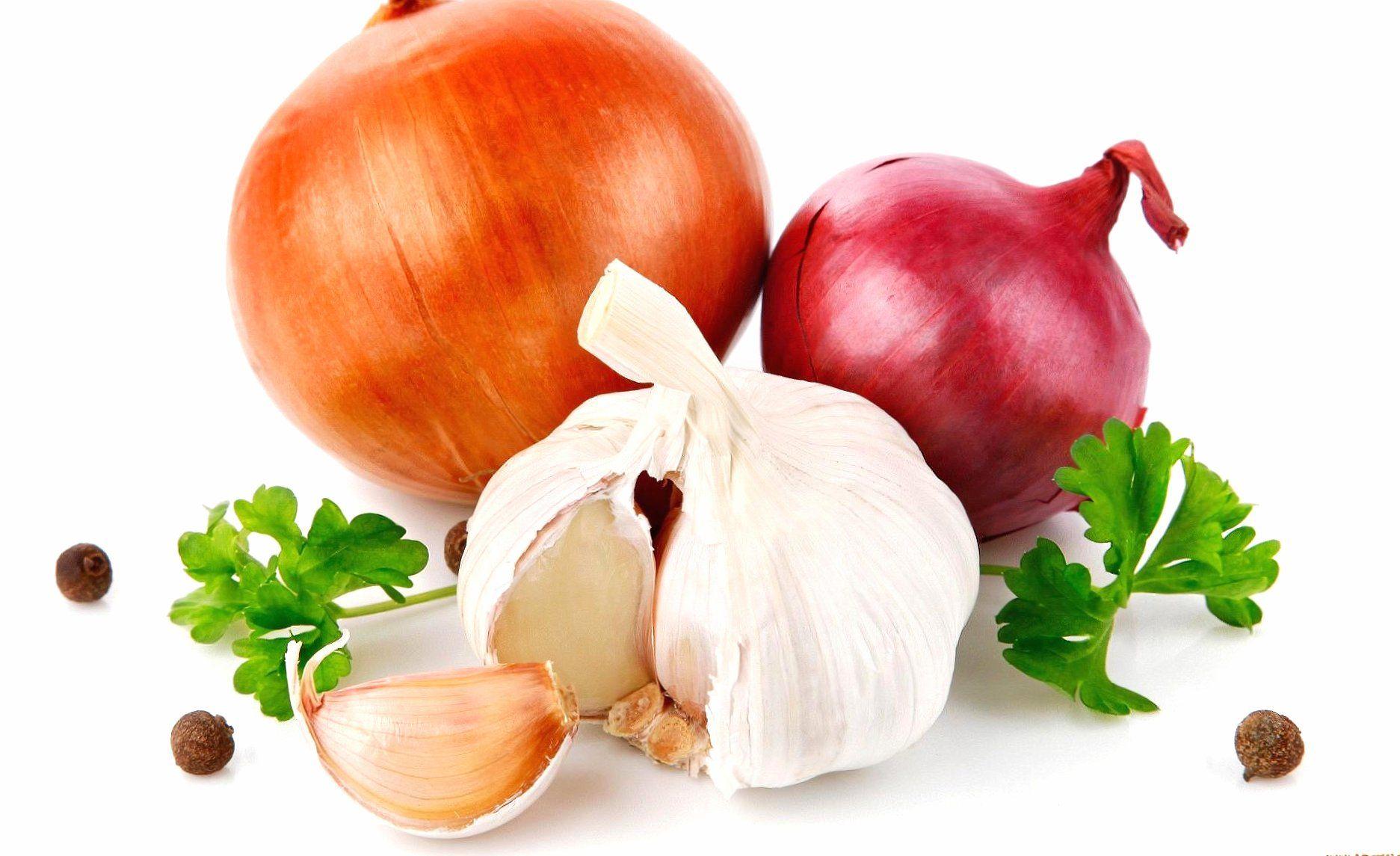 Onion Wallpapers - Top Free Onion Backgrounds - WallpaperAccess