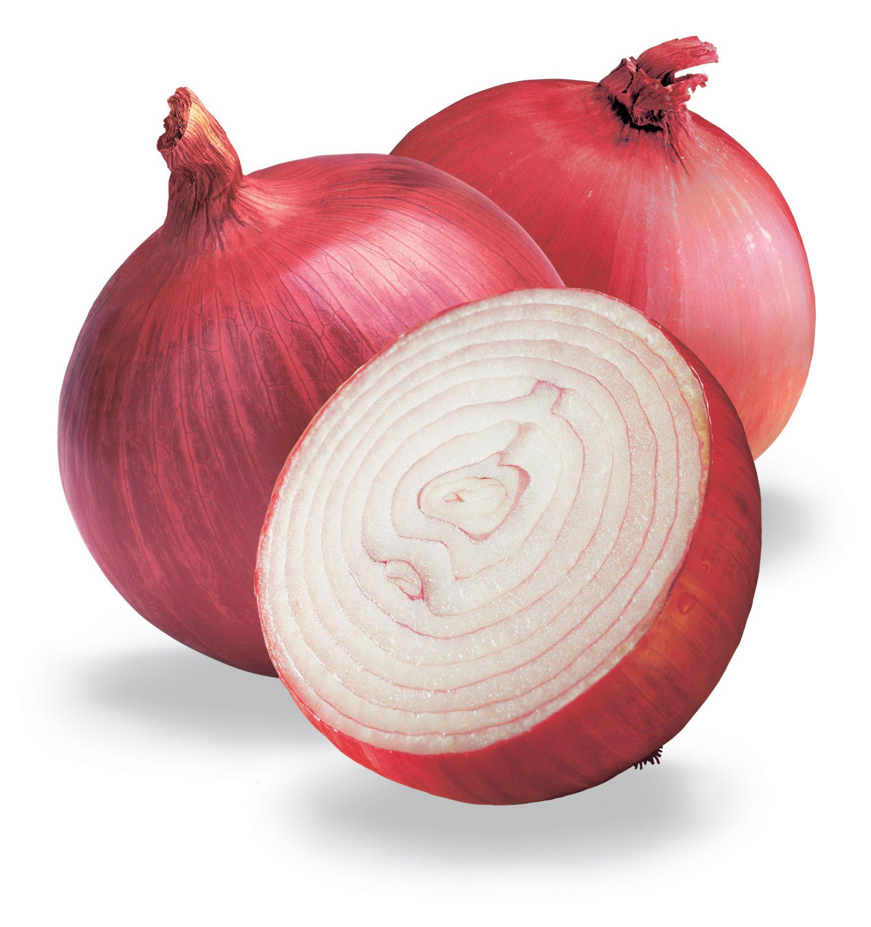 Onion Wallpapers Top Free Onion Backgrounds WallpaperAccess 1912959
