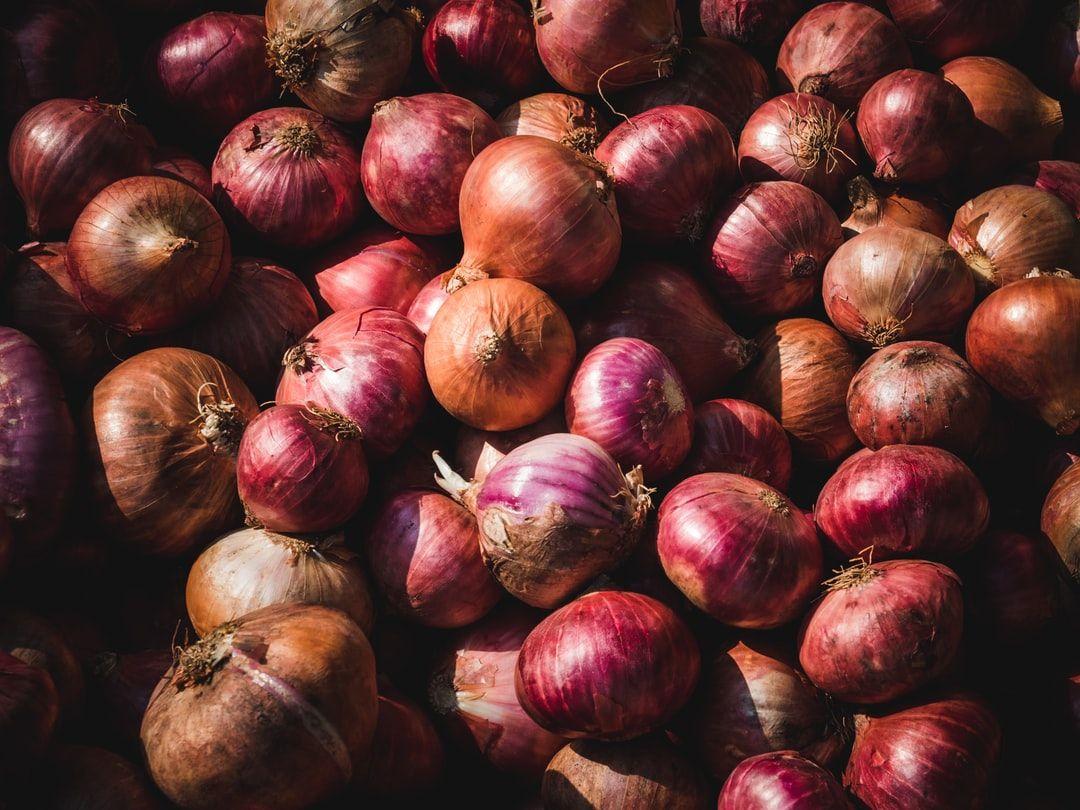 Onion Wallpapers - Top Free Onion Backgrounds - WallpaperAccess