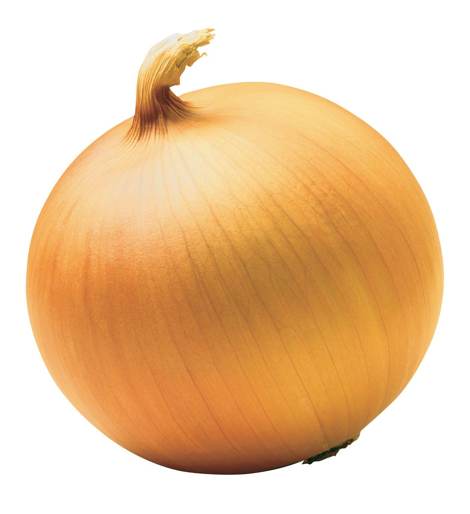 Onion Wallpapers - Top Free Onion Backgrounds - WallpaperAccess