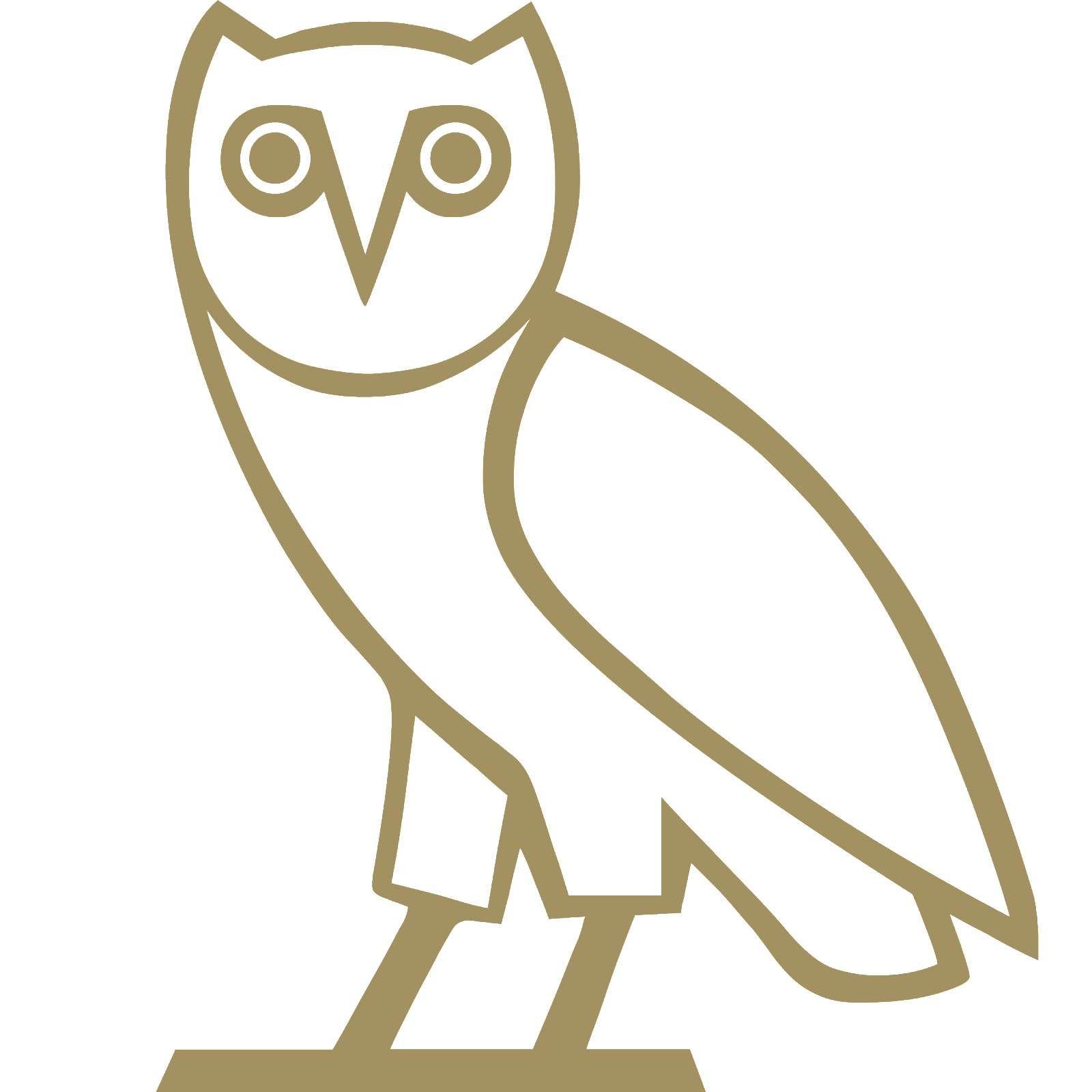 1600x1600 Ovo Owl Wallpaper HD