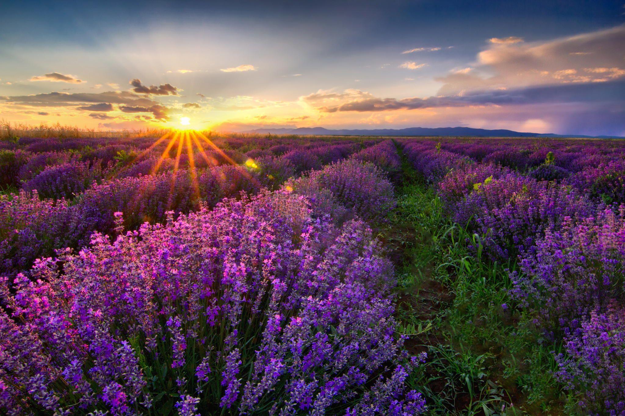 Spring Sunset Wallpapers - Top Free Spring Sunset Backgrounds ...