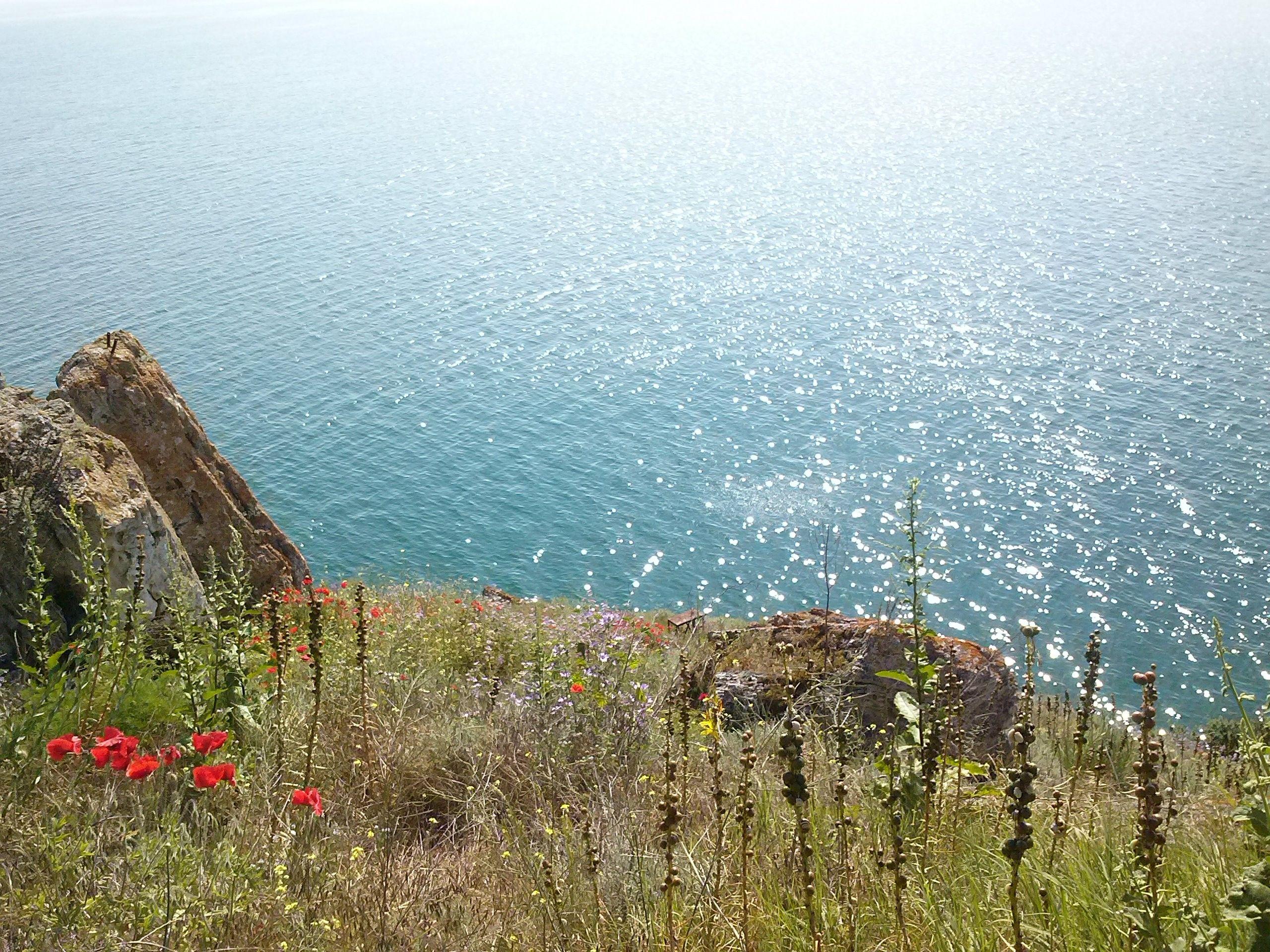 2560x1920 nature, Landscape, Bulgaria, Flowers, Sea Wallpaper HD / Desktop