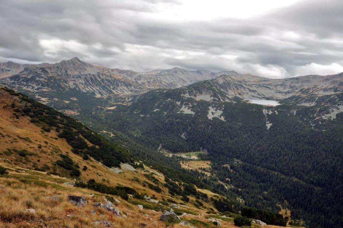 1156x768 Mountains: Photography Forest Sky Rilla Mountain Trees Bulgaria