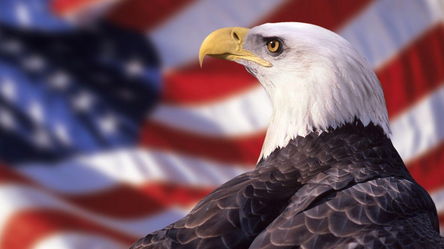 1555x875 American Flag Eagle Wallpaper. AMERICA: ❤ The Red, White, and Blue
