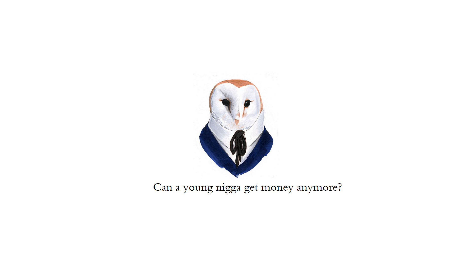 1920x1080 Animals talking rap lyrics' wallpaper