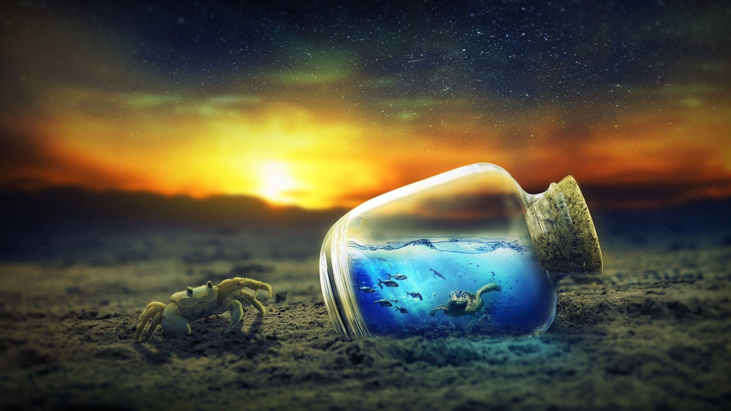 2560x1440 Download 2560x1440 Crab, Sunset, Surreal, Digital Art