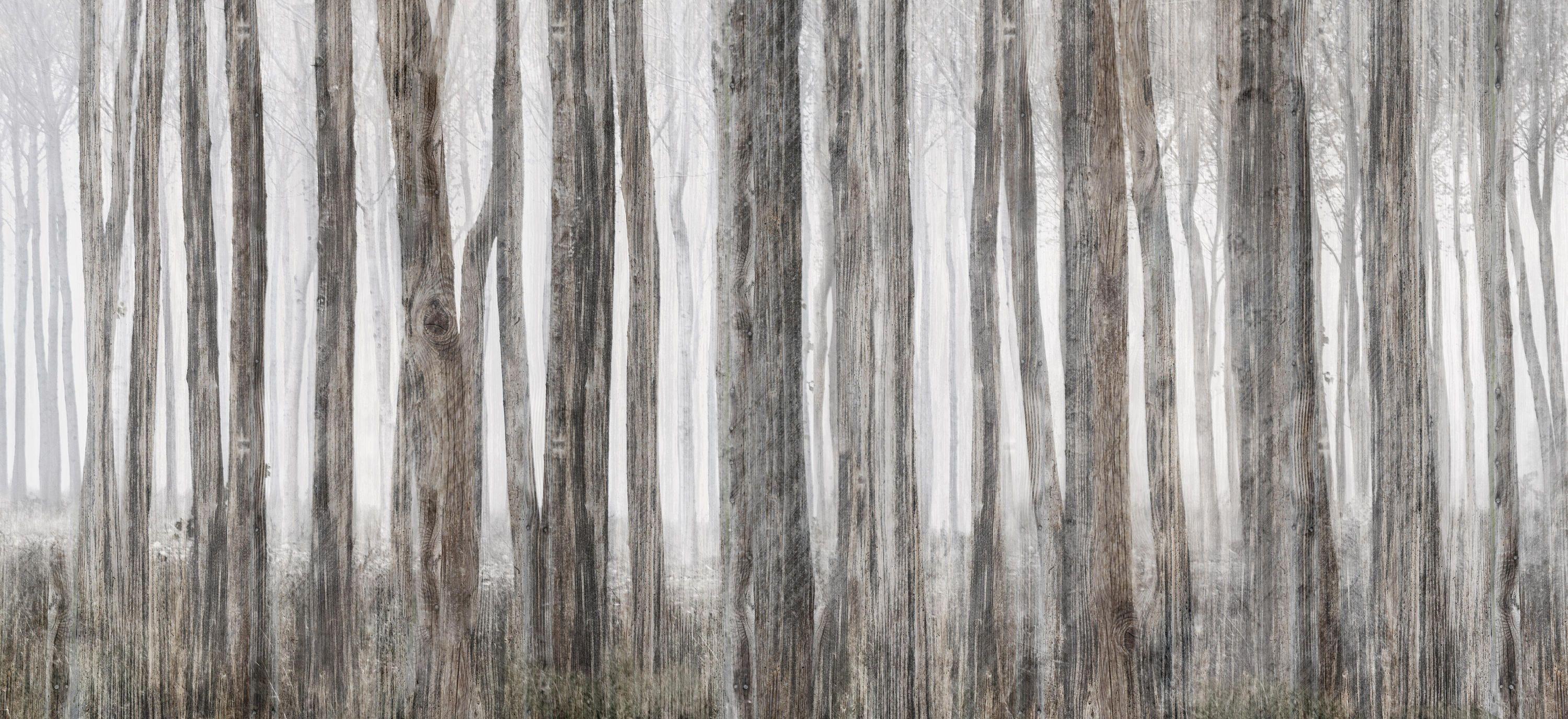 3000x1376 Little Red Riding Hood & designer furniture