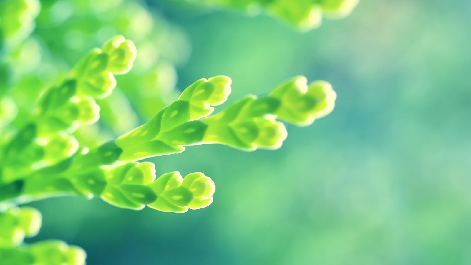 1600x900 Health Wallpaper Hd Wallpaper On Picsfair Com Fgngsgn