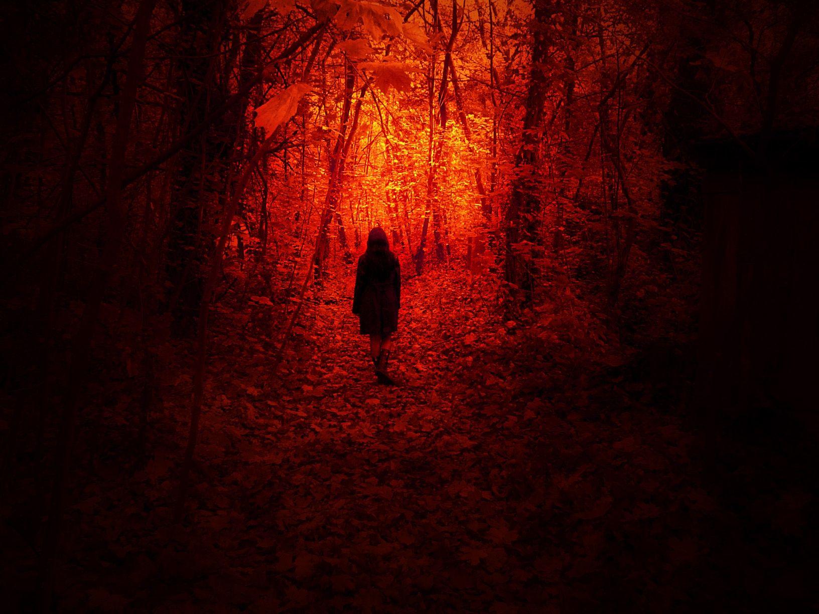 1632x1224 little red riding hood wolves 1632x1224 wallpaper High