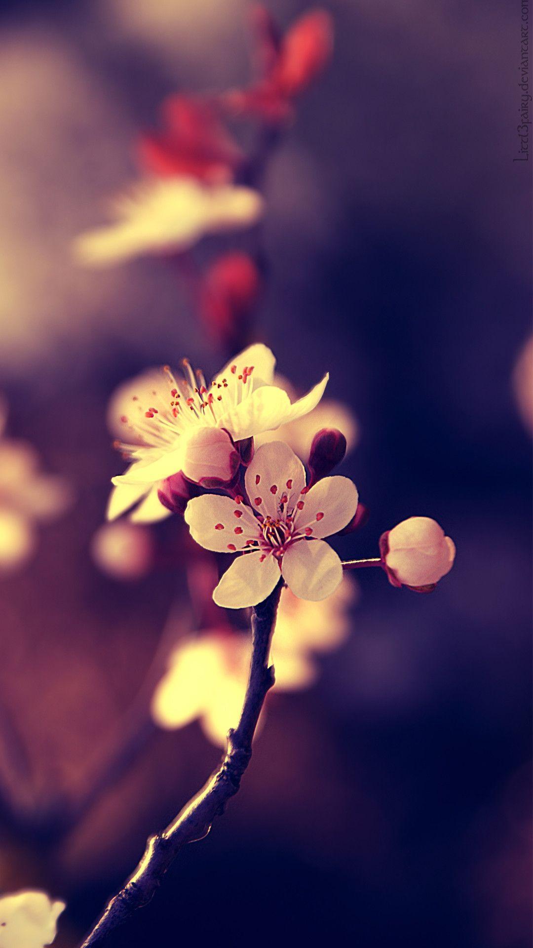 1080x1920 Beautiful Wallpaper for Mobile Phone