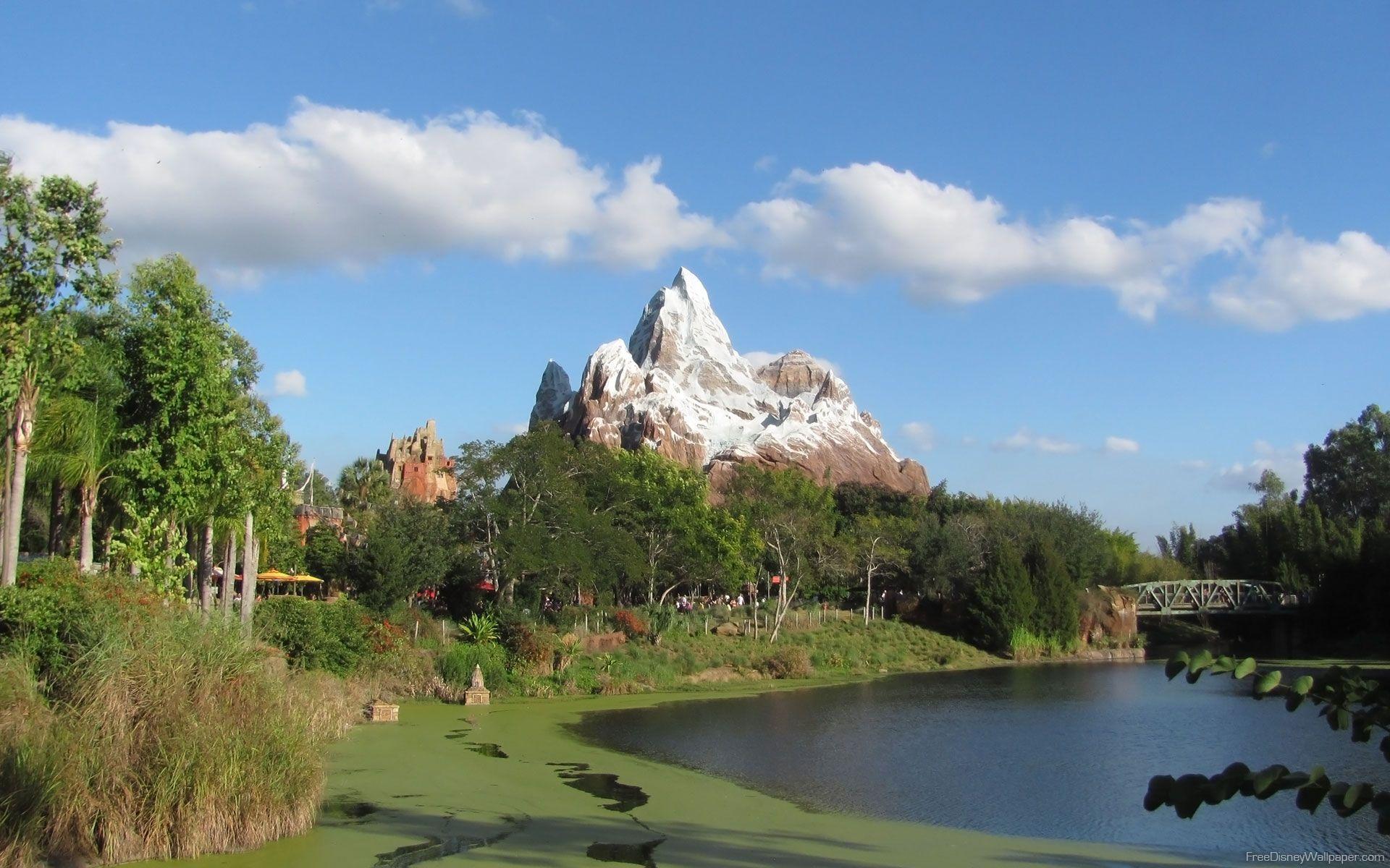 Animal Kingdom Wallpapers - Top Free Animal Kingdom Backgrounds -  WallpaperAccess