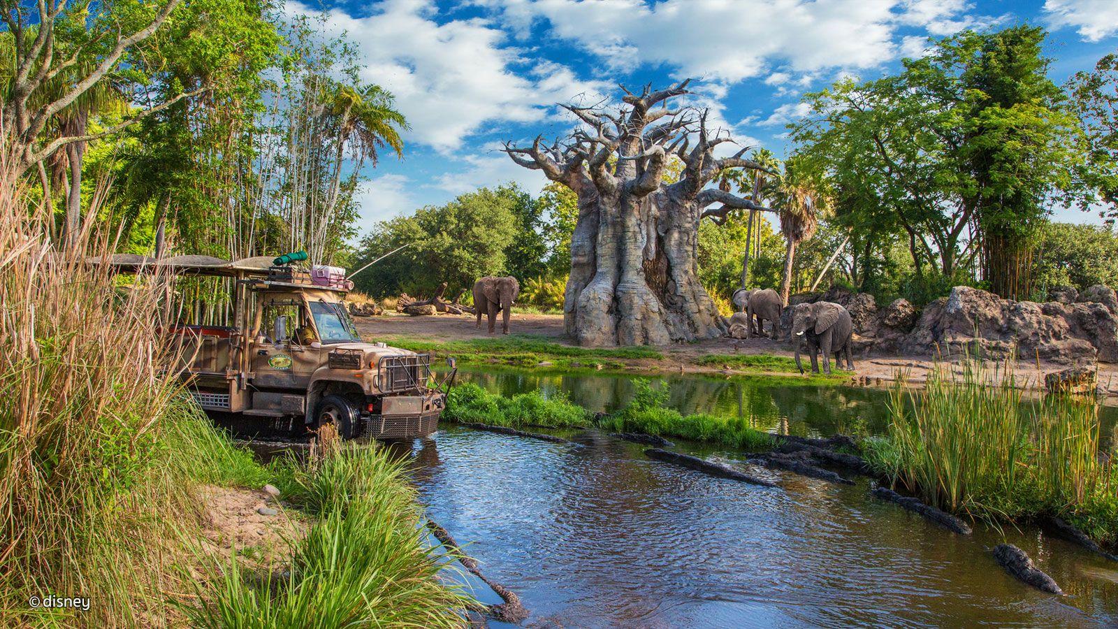 1600x900 Animal Kingdom Kilimanjaro Safaris's Animal Kingdom