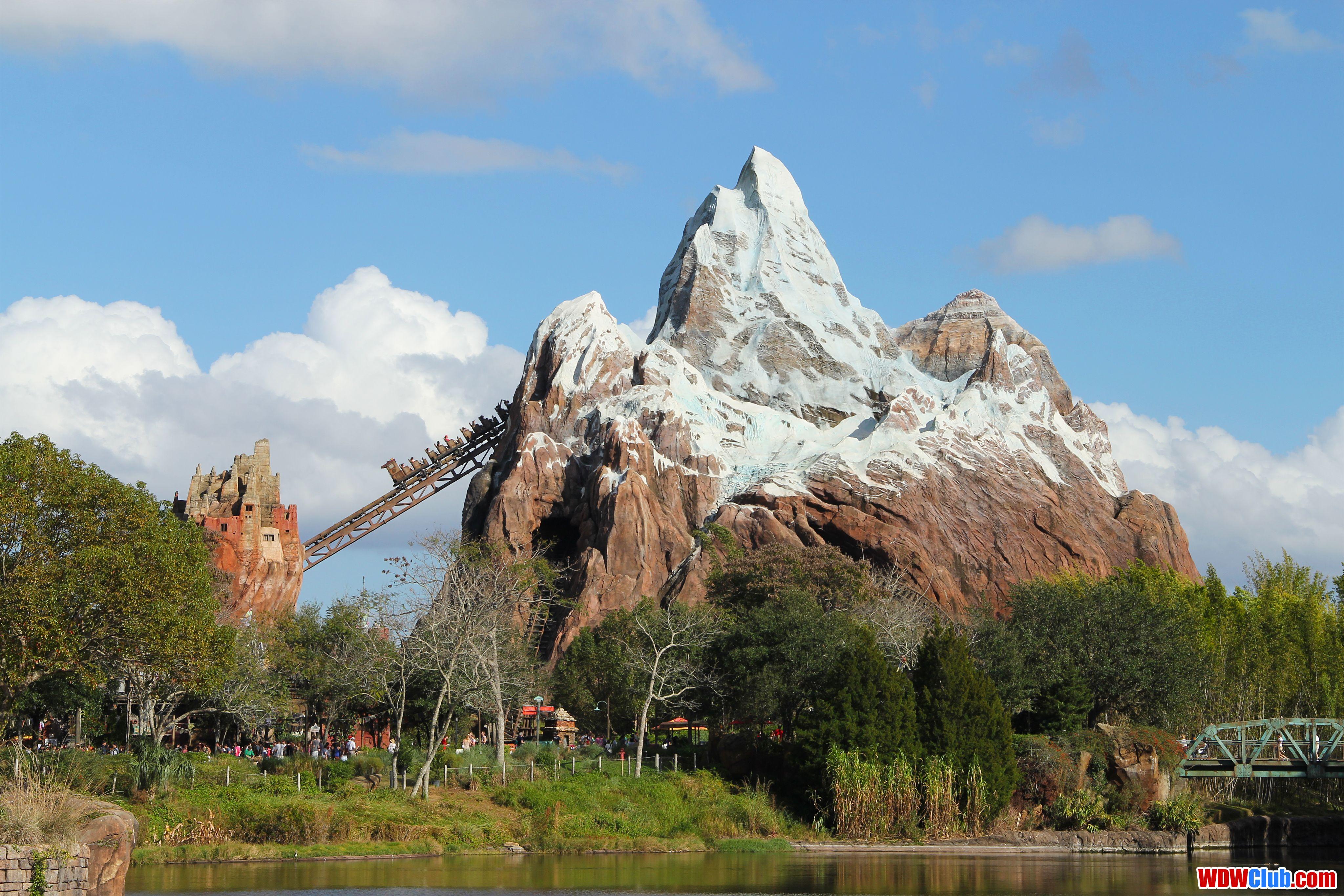 Animal Kingdom Wallpapers - Top Free Animal Kingdom Backgrounds ...