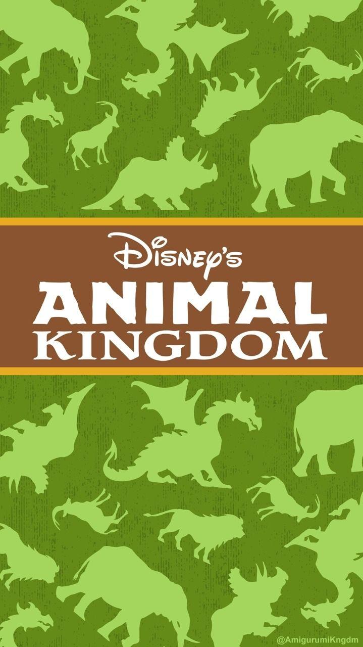 Animal Kingdom Wallpapers Top Free Animal Kingdom Backgrounds WallpaperAccess