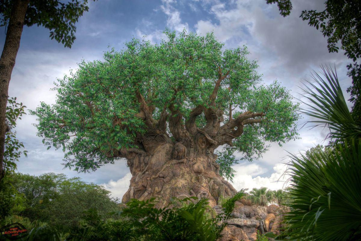 1200x800 Tree of Life Wallpaper by At Disney Again. Disney's Animal