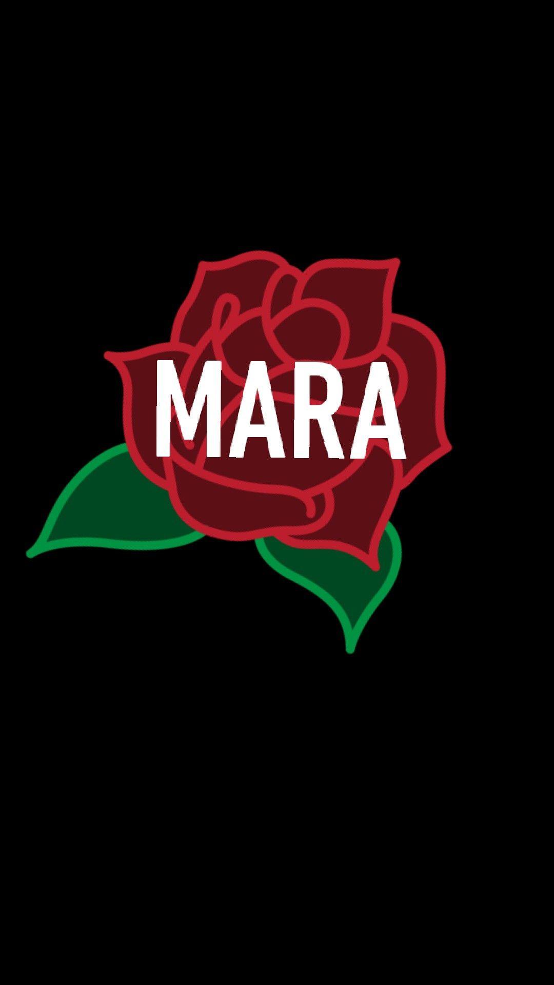 1080x1920 Nick mara prettymuch wallpaper. Pretty much band