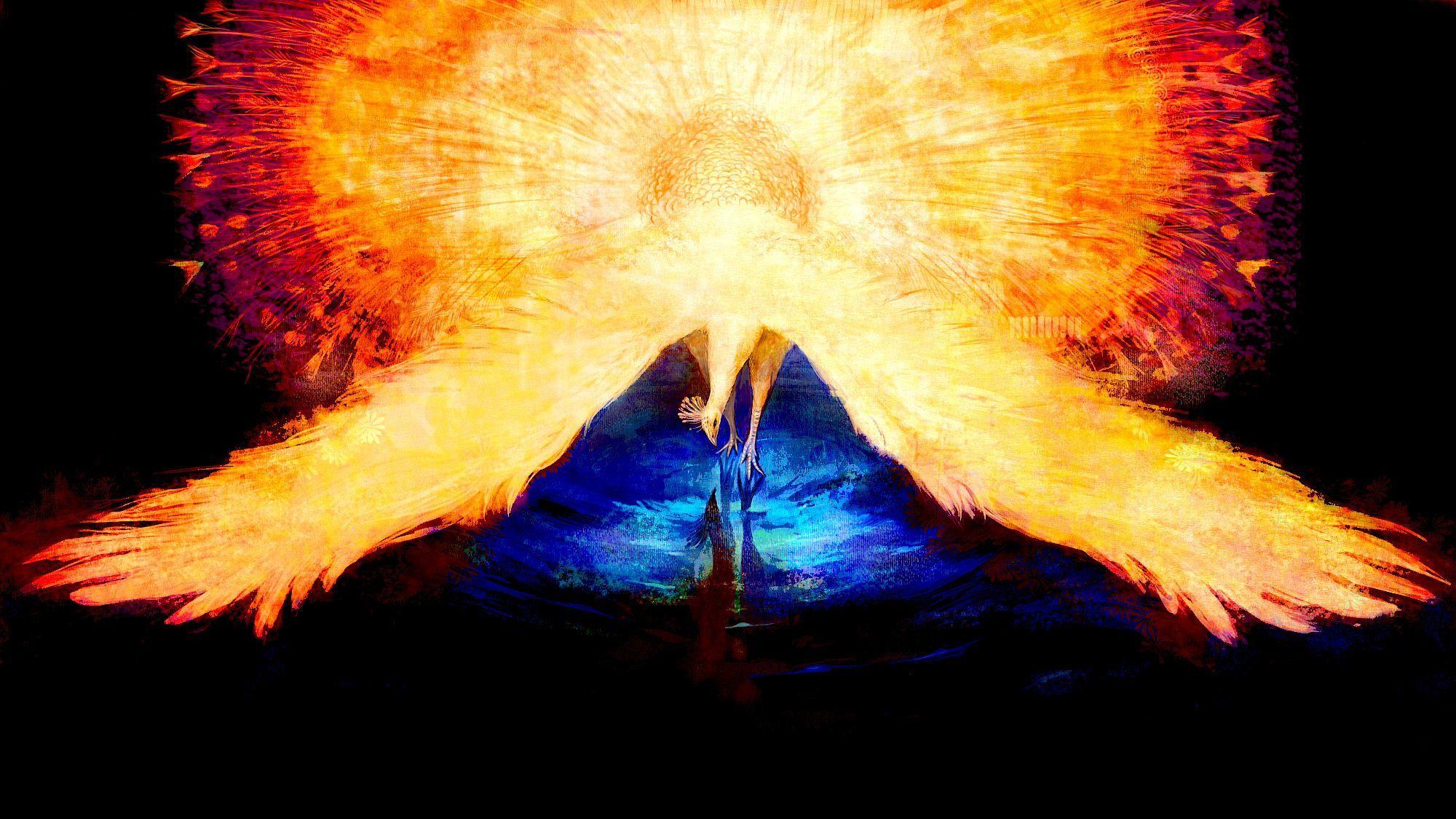 2000x1125 Wings of Fire Wallpaper