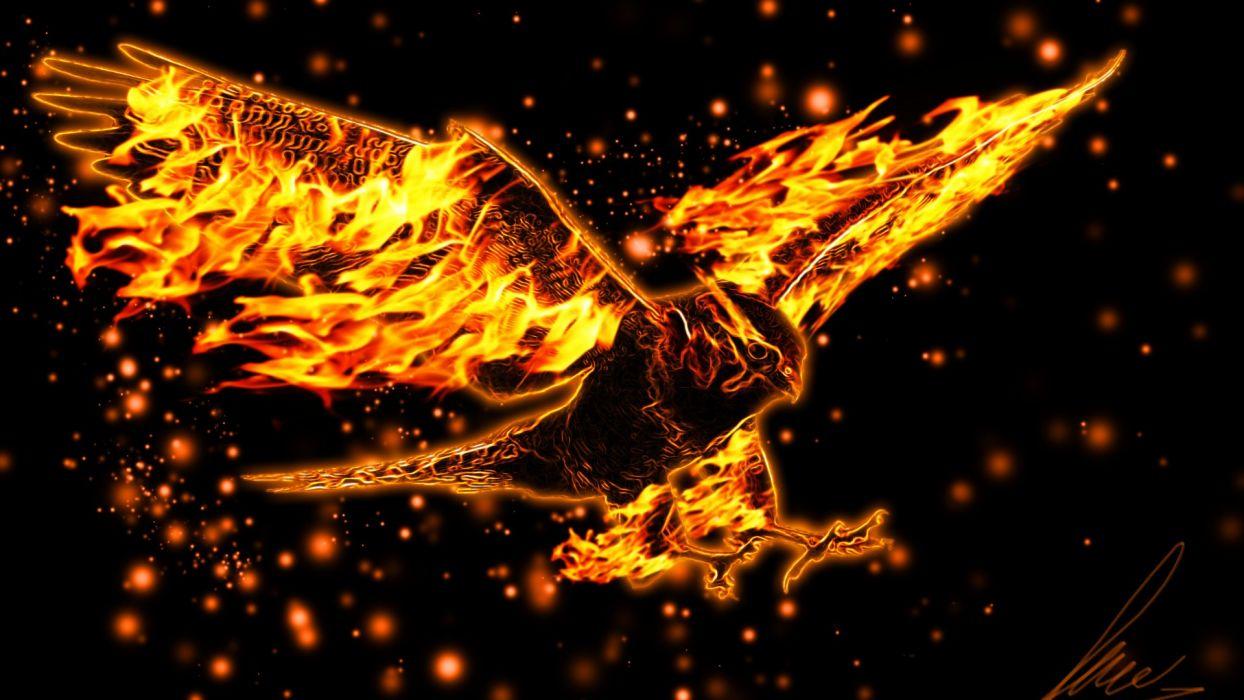 1244x700 Burning eagle flight wings fire abstract wallpaper