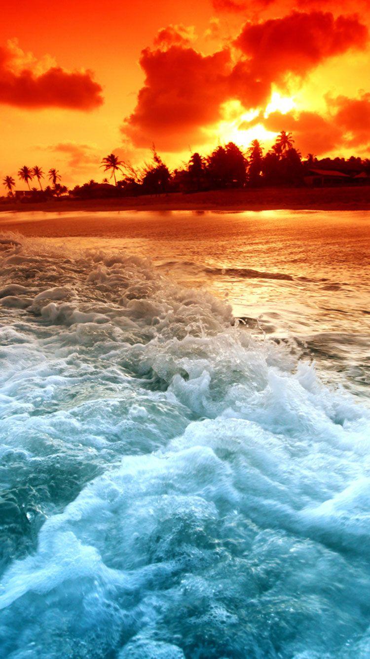 750x1334 HD Bãi biển Nhiệt đới Nền iPhone