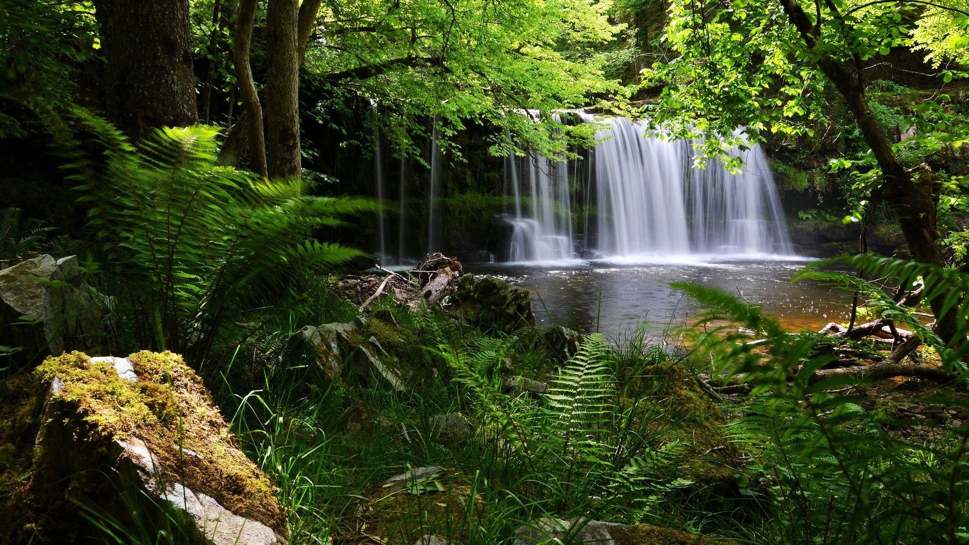 1920x1080 waterfall, grass, nature 1080P Laptop Full HD