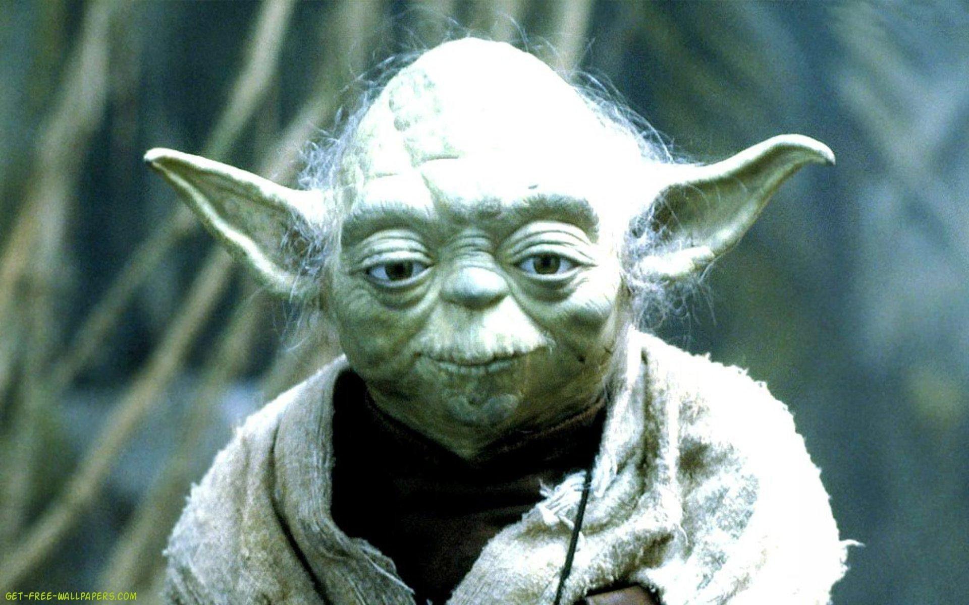 1920x1200 Yoda Background
