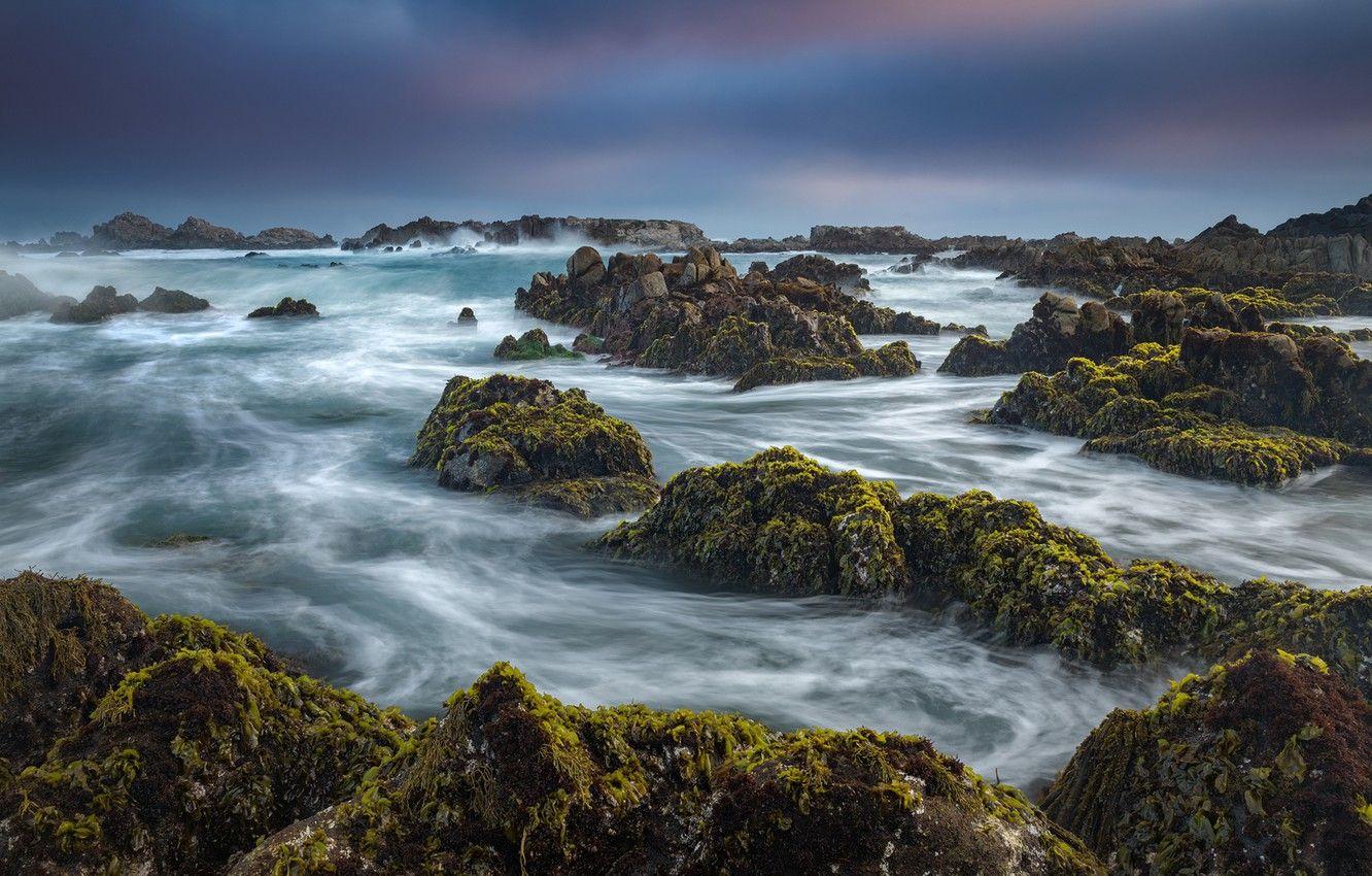 1332x850 Wallpaper the ocean, coast, CA, Pacific Ocean, California, The Pacific ocean, Pacific Grove, Monterey Bay, Pacific Grove, Monterey Bay, Asilomar State Beach image for desktop, section пейзажи