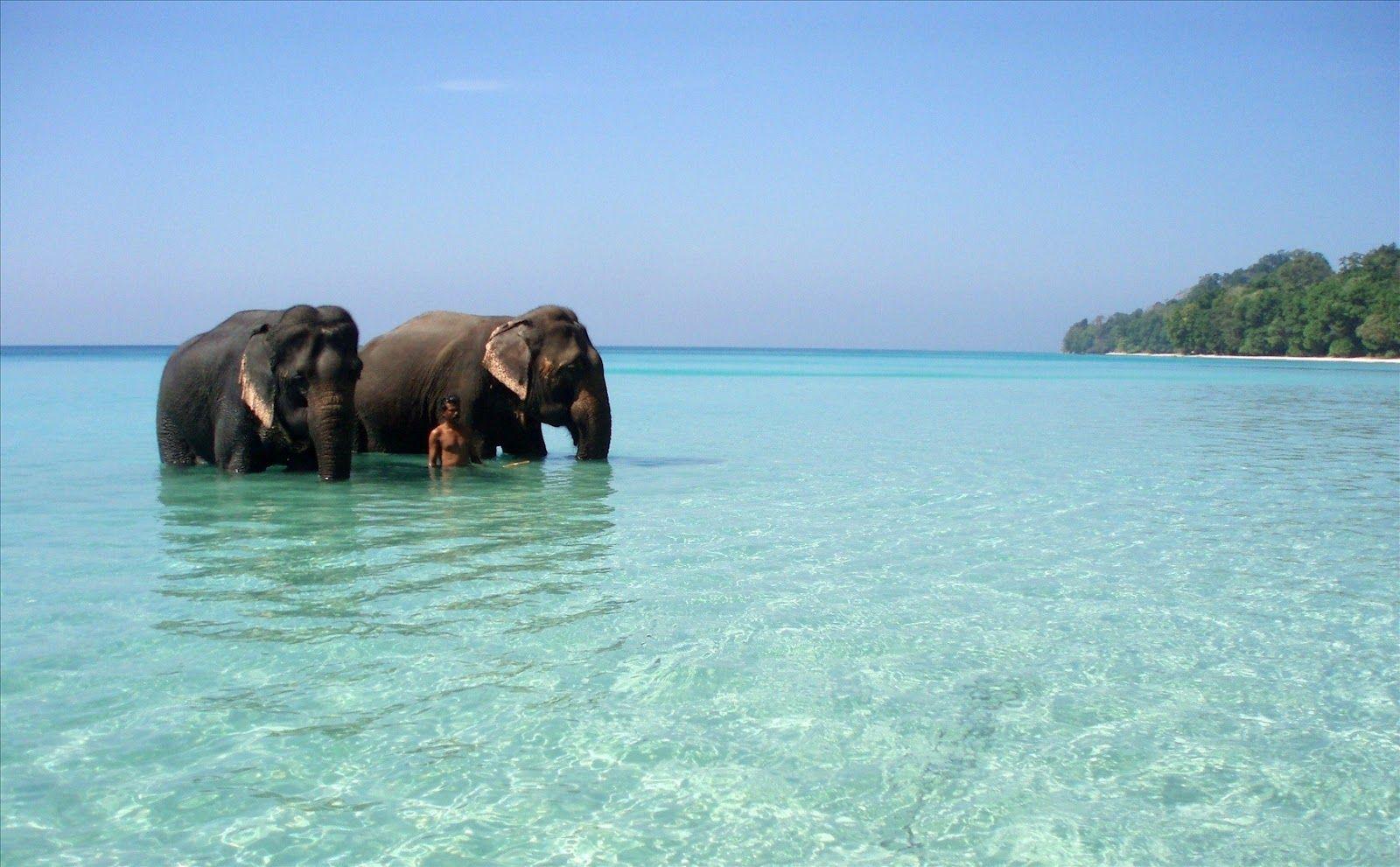 Andaman Wallpapers Top Free Andaman Backgrounds WallpaperAccess