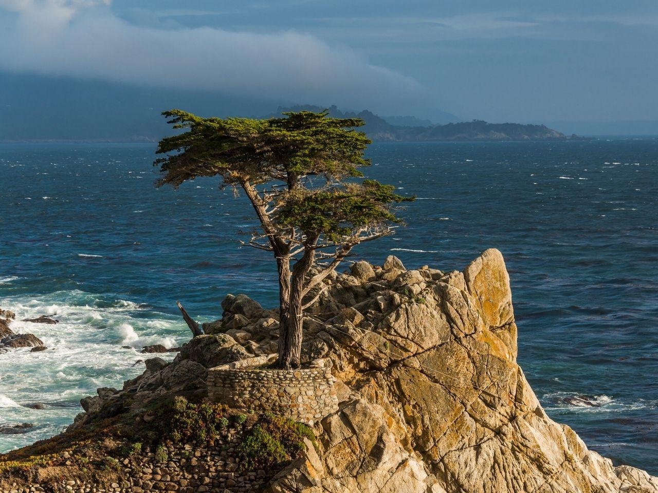 1280x960 Download wallpaper 1280x960 lone cypress, monterey peninsula