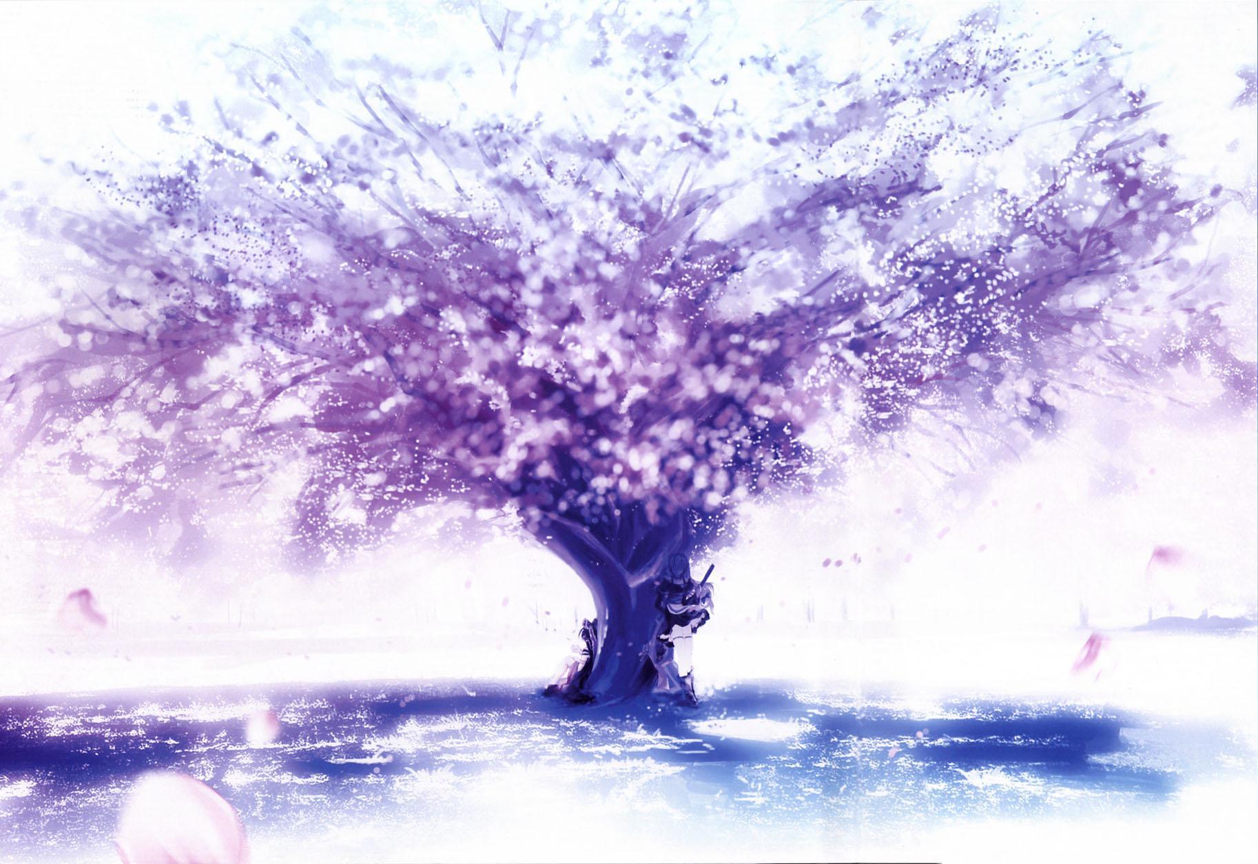 Anime Fairy Cherry Blossom Wallpapers Top Free Anime Fairy