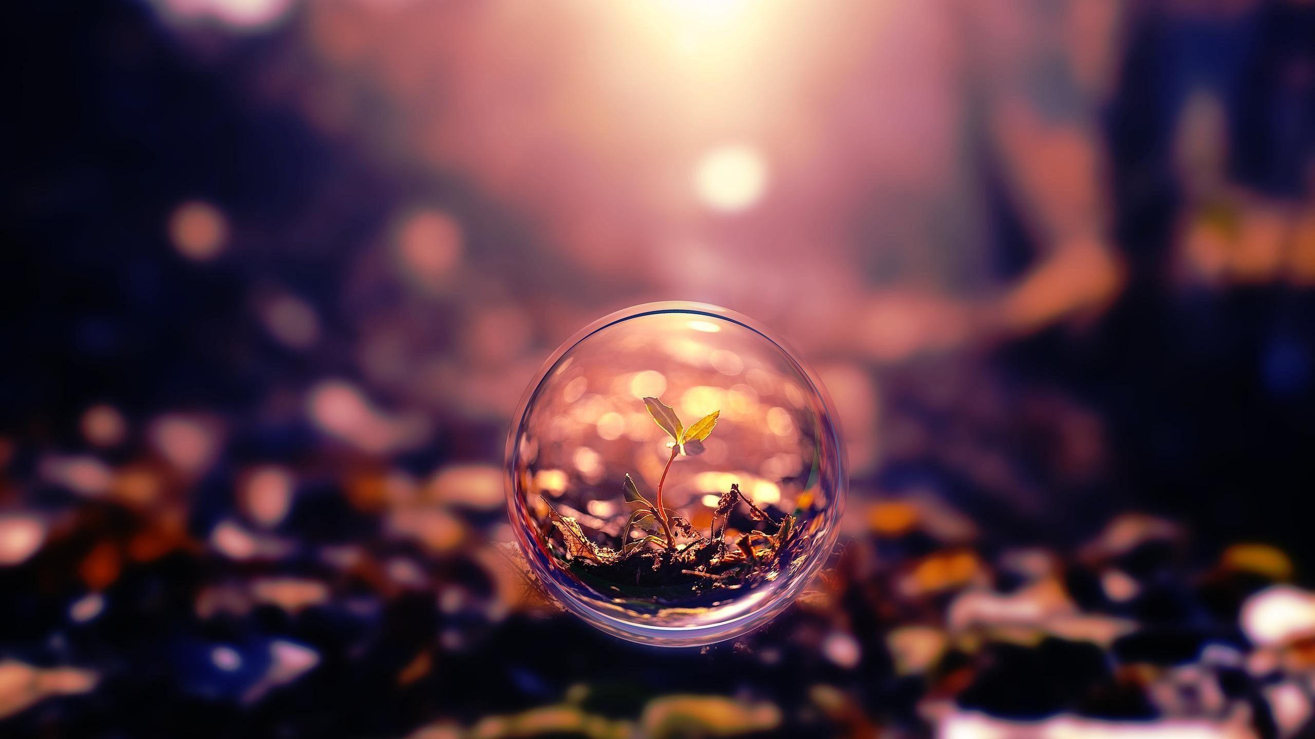 2560x1440 Wallpaper sphere, 4k, HD wallpaper, background, sunset