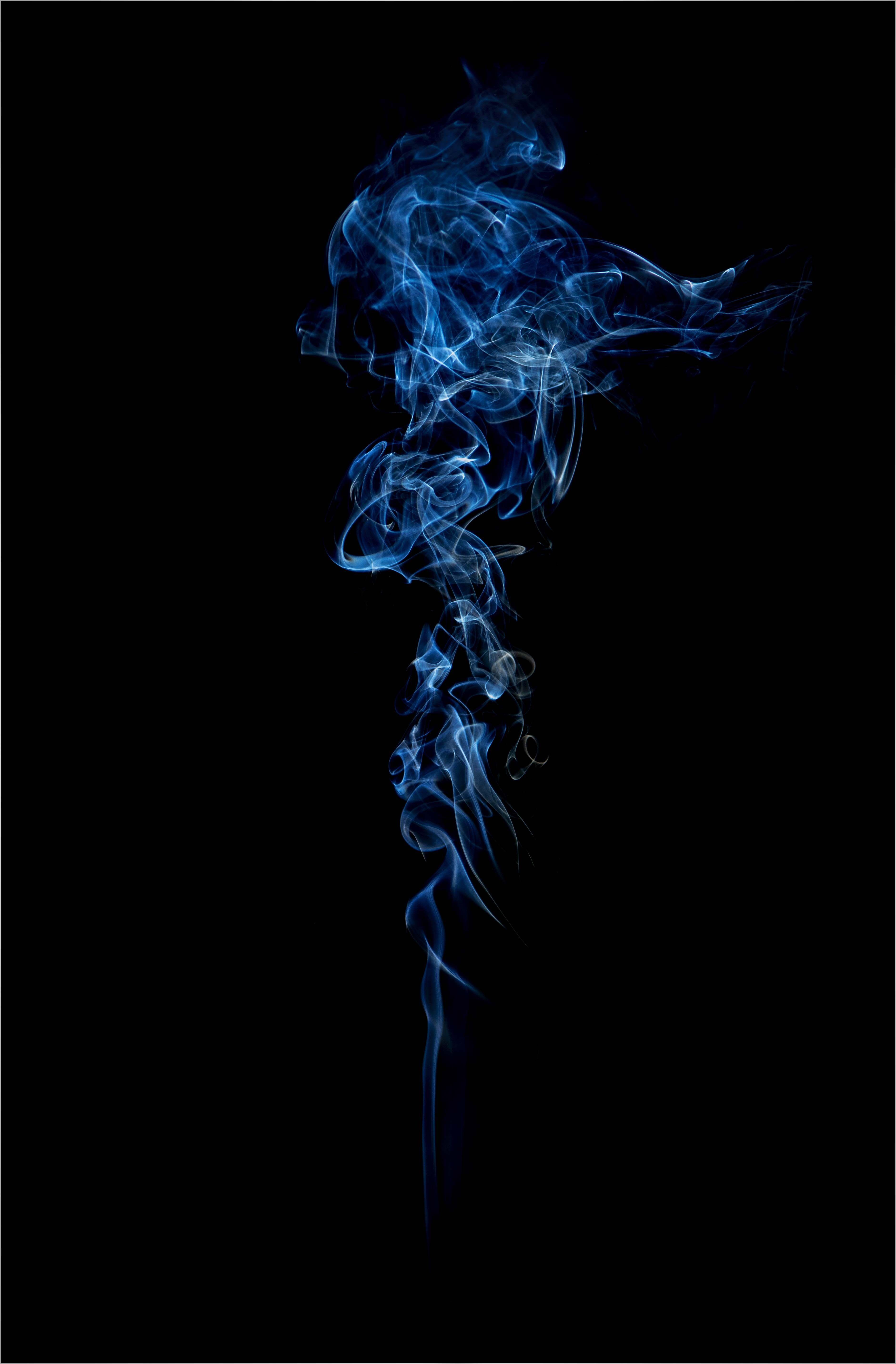 3762x5726 Shroud Logo Wallpaper