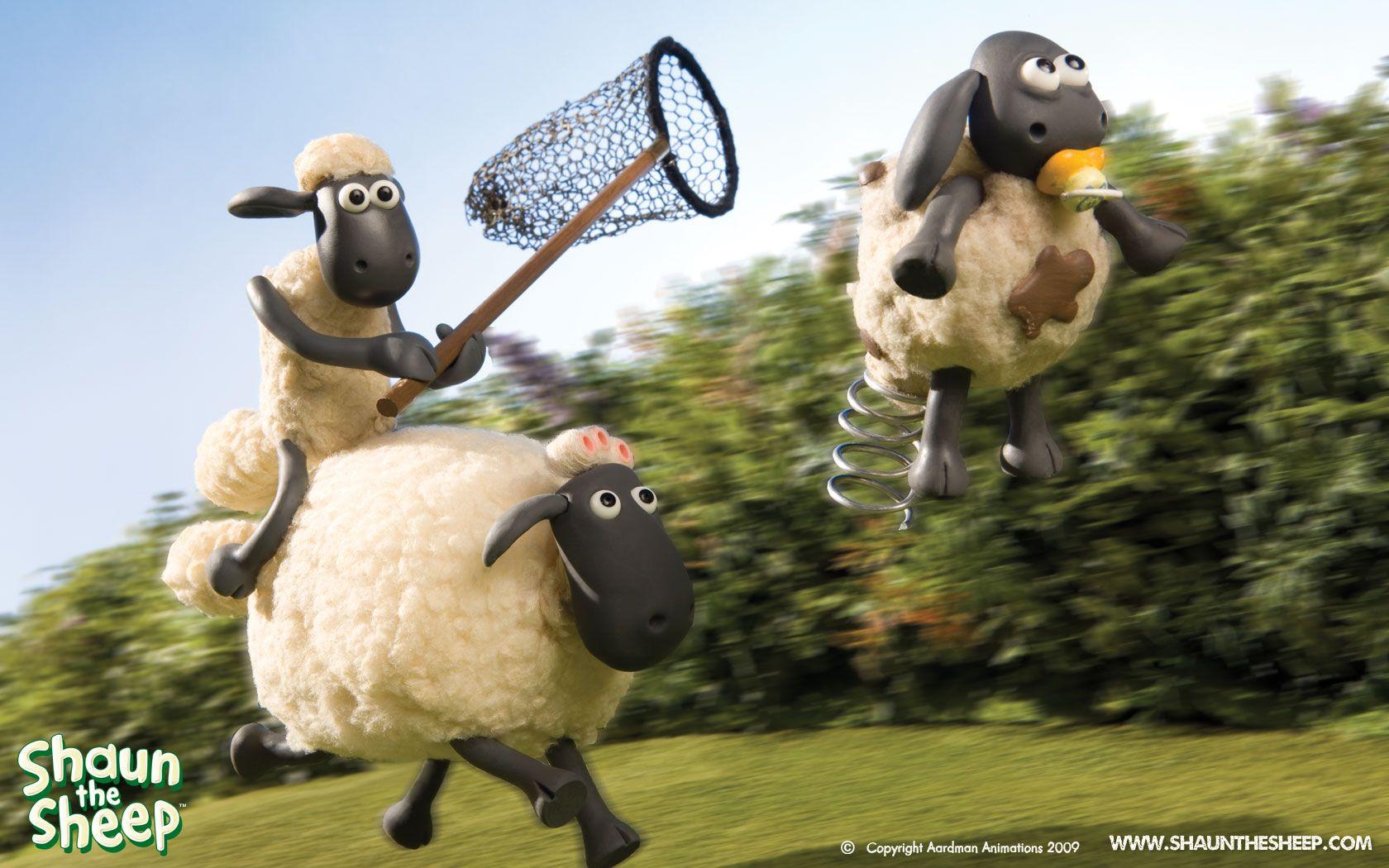 Wallpapers tagged with shaun the sheep wallpaper  Wallpapersnet