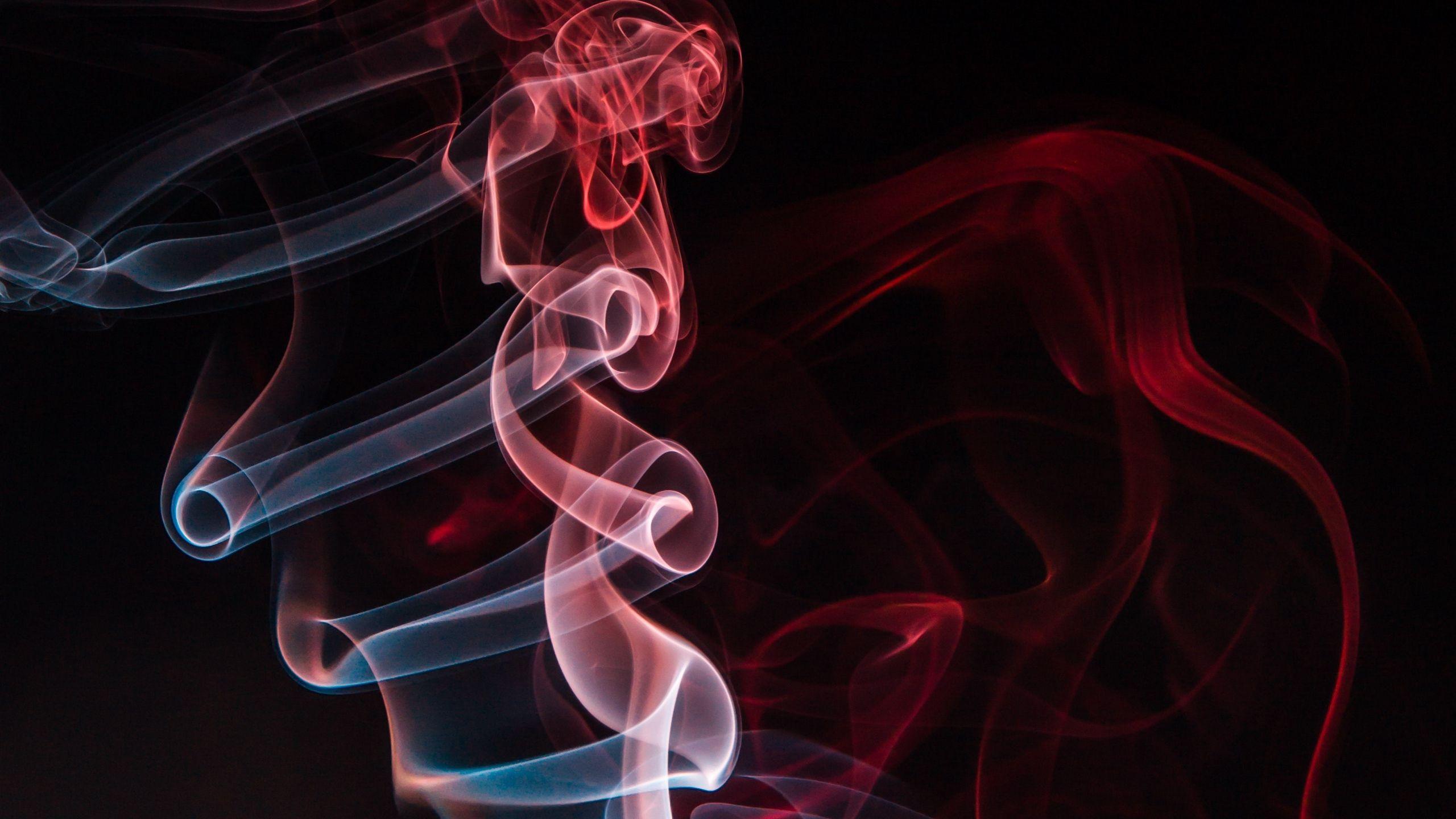 2560x1440 Download wallpaper 2560x1440 smoke, shroud, colored smoke