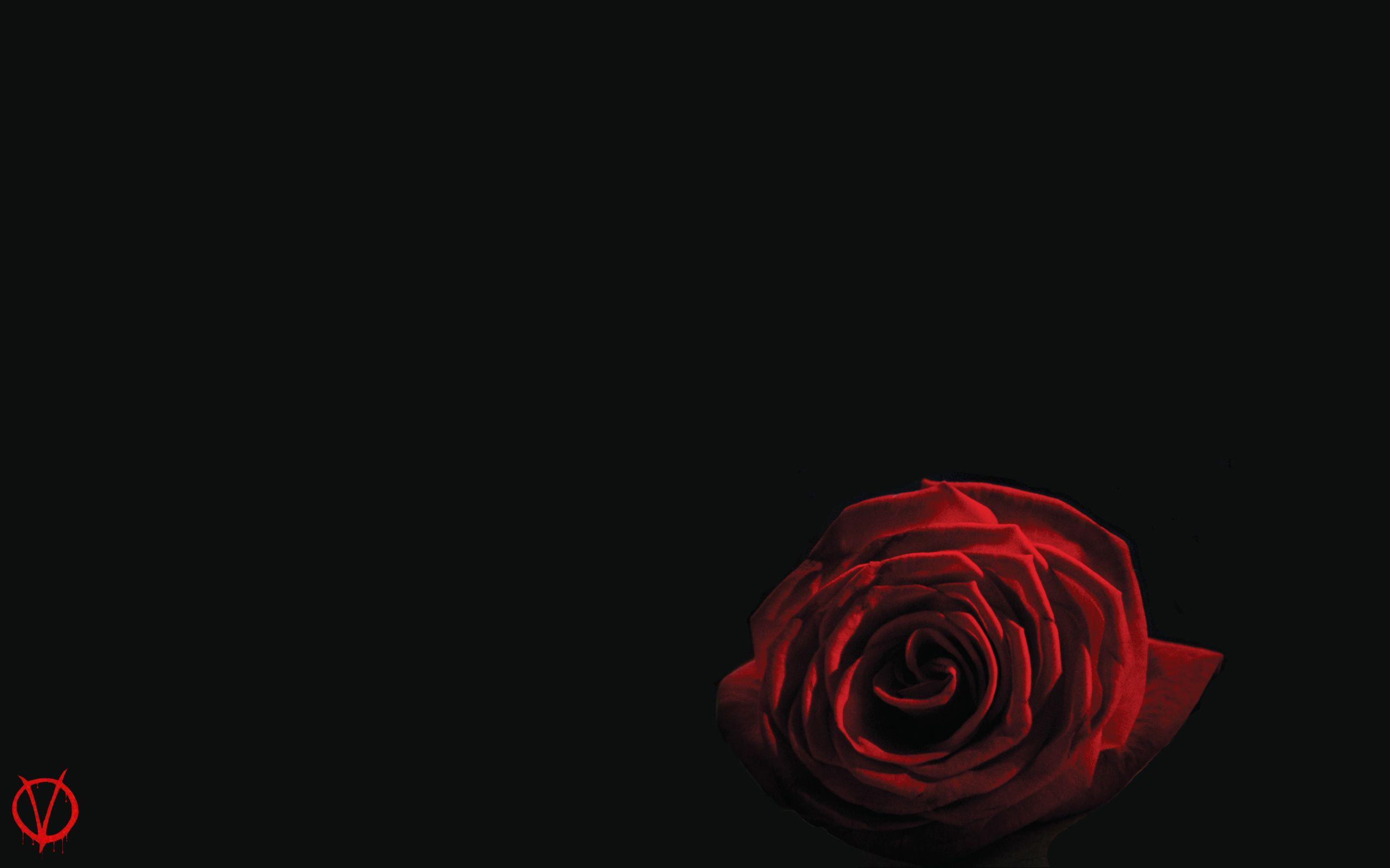 2560x1600 V for Vendetta HD Wallpaper