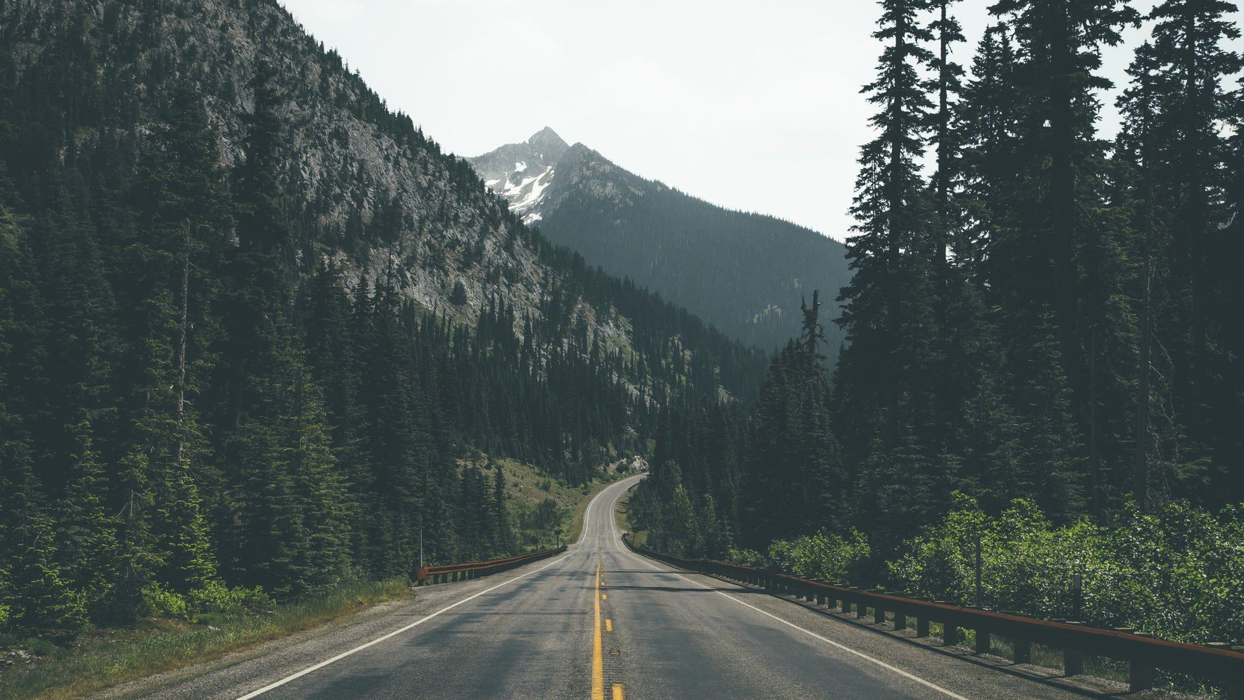 2560x1440 Grey and black winding road through mountains HD wallpaper