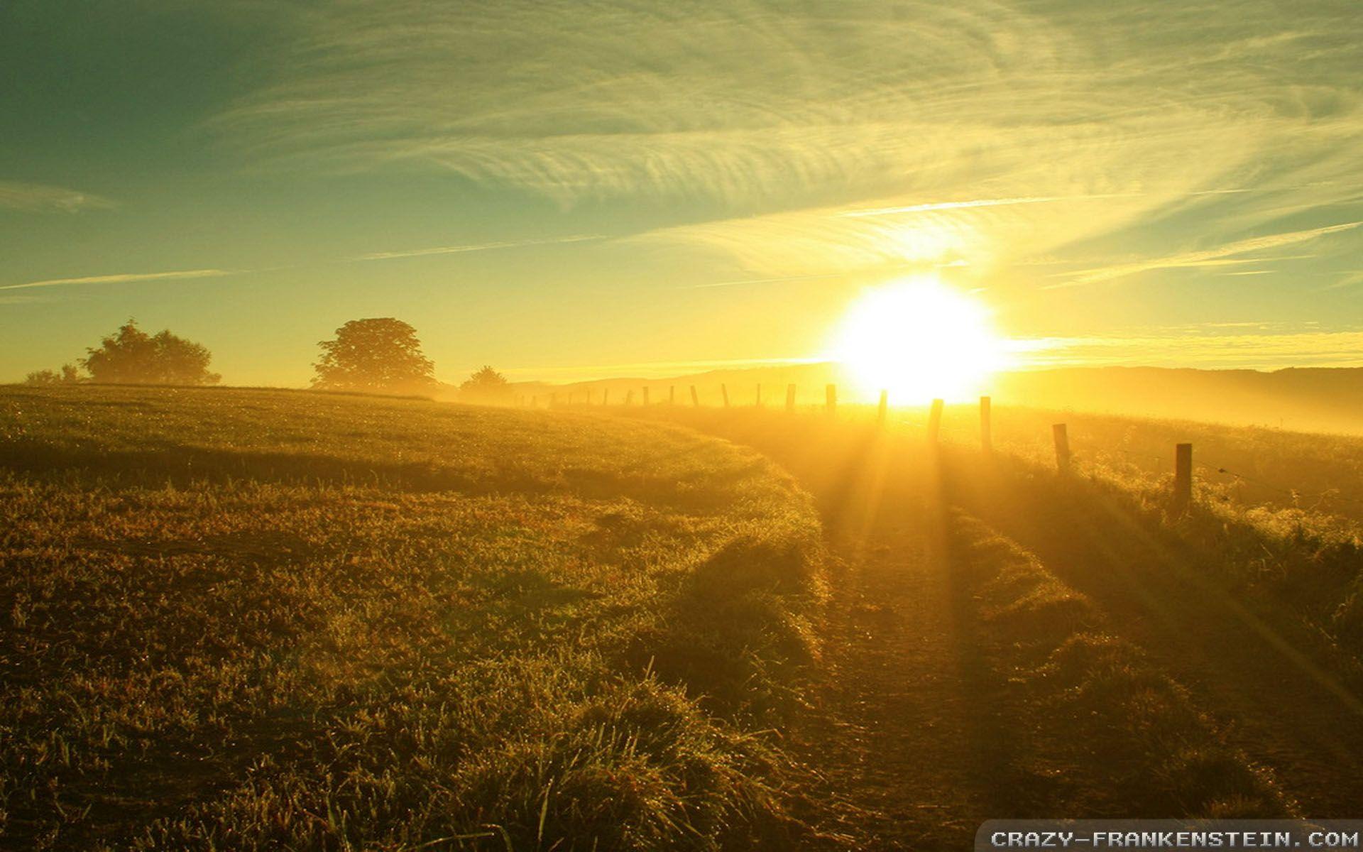 Summer Sun Wallpapers - Top Free Summer Sun Backgrounds - WallpaperAccess