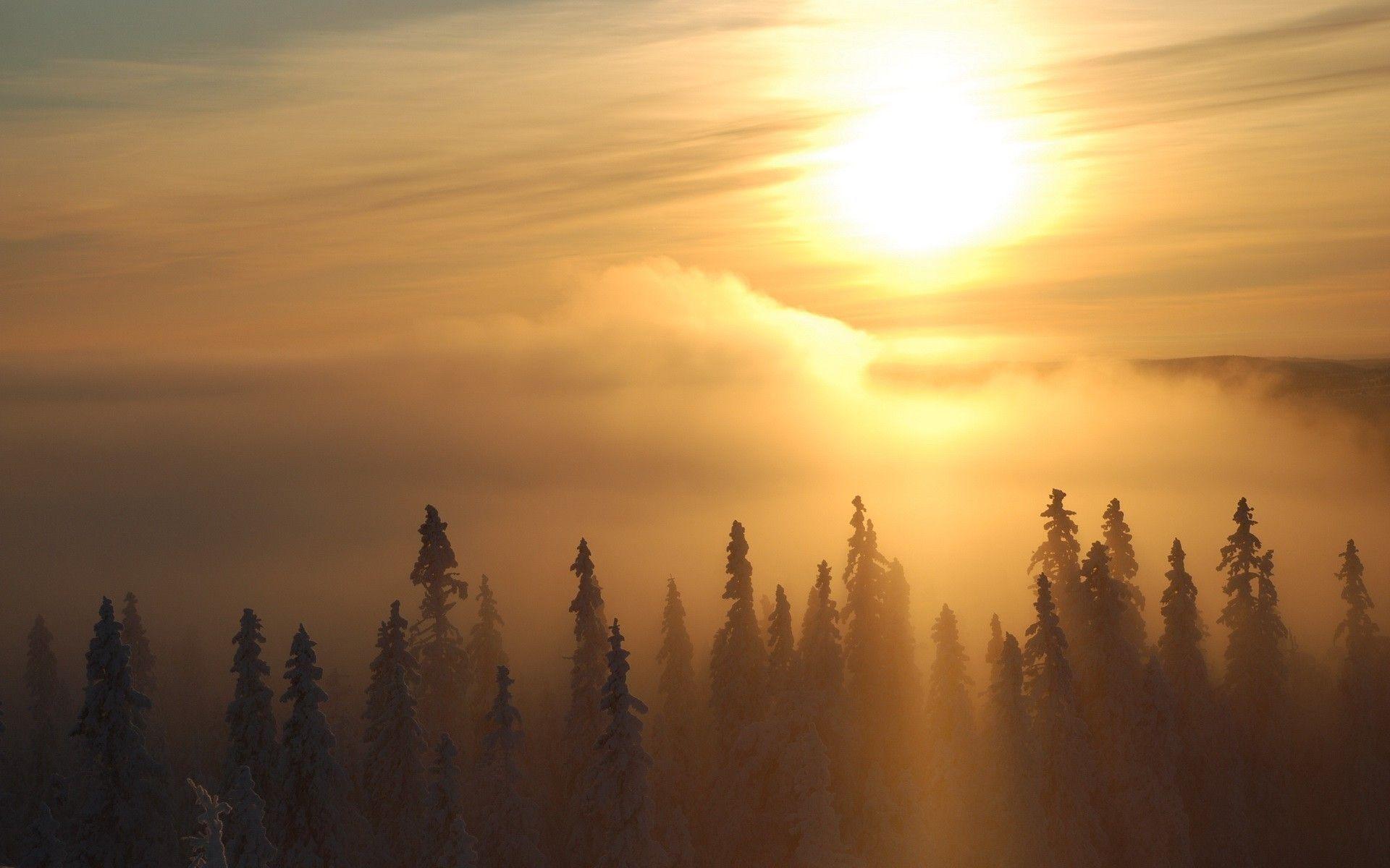 1920x1200 Winter Sun Wallpaper HD