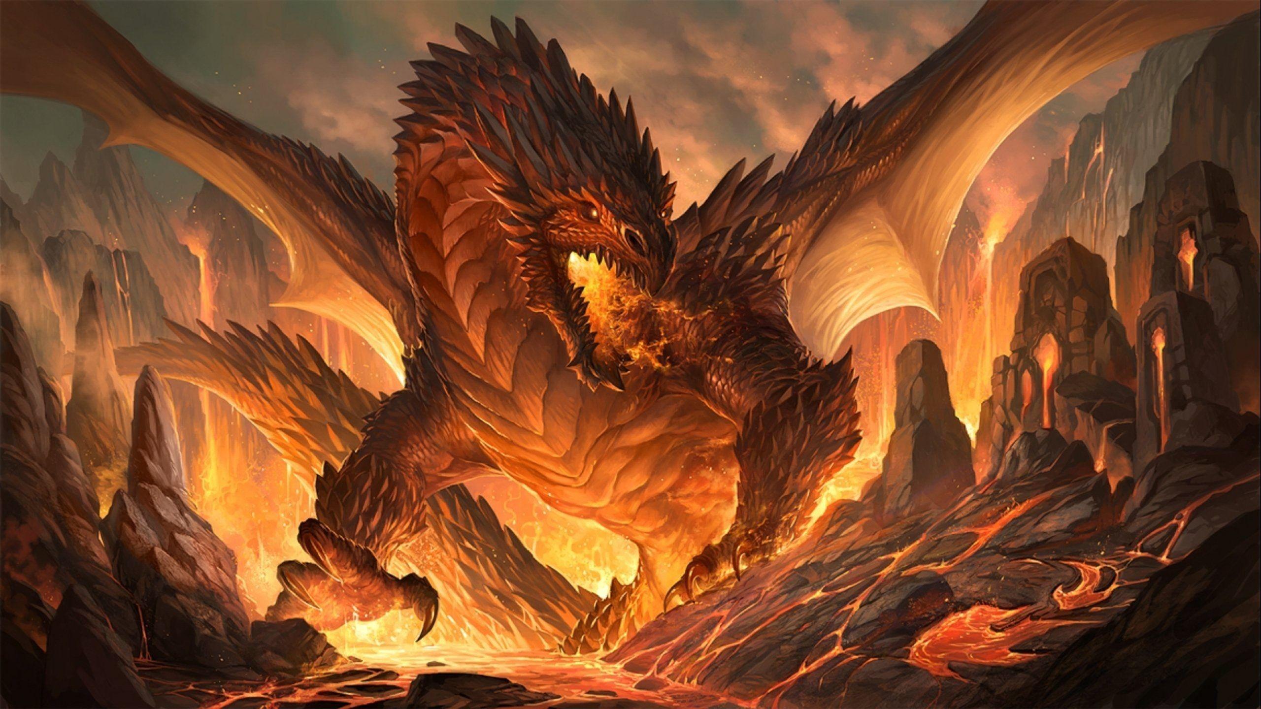 Real Dragon Wallpapers - Top Free Real Dragon Backgrounds - WallpaperAccess