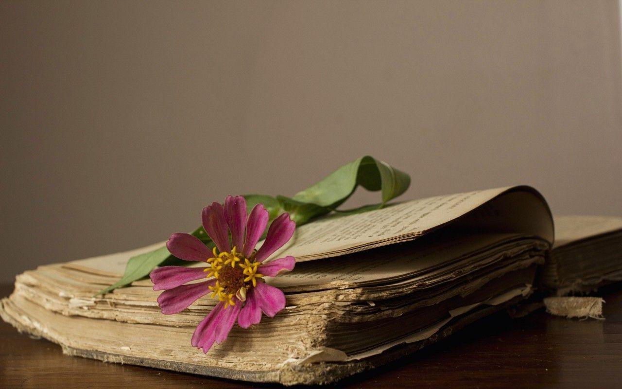1280x800 Old Book wallpaper. Old Book