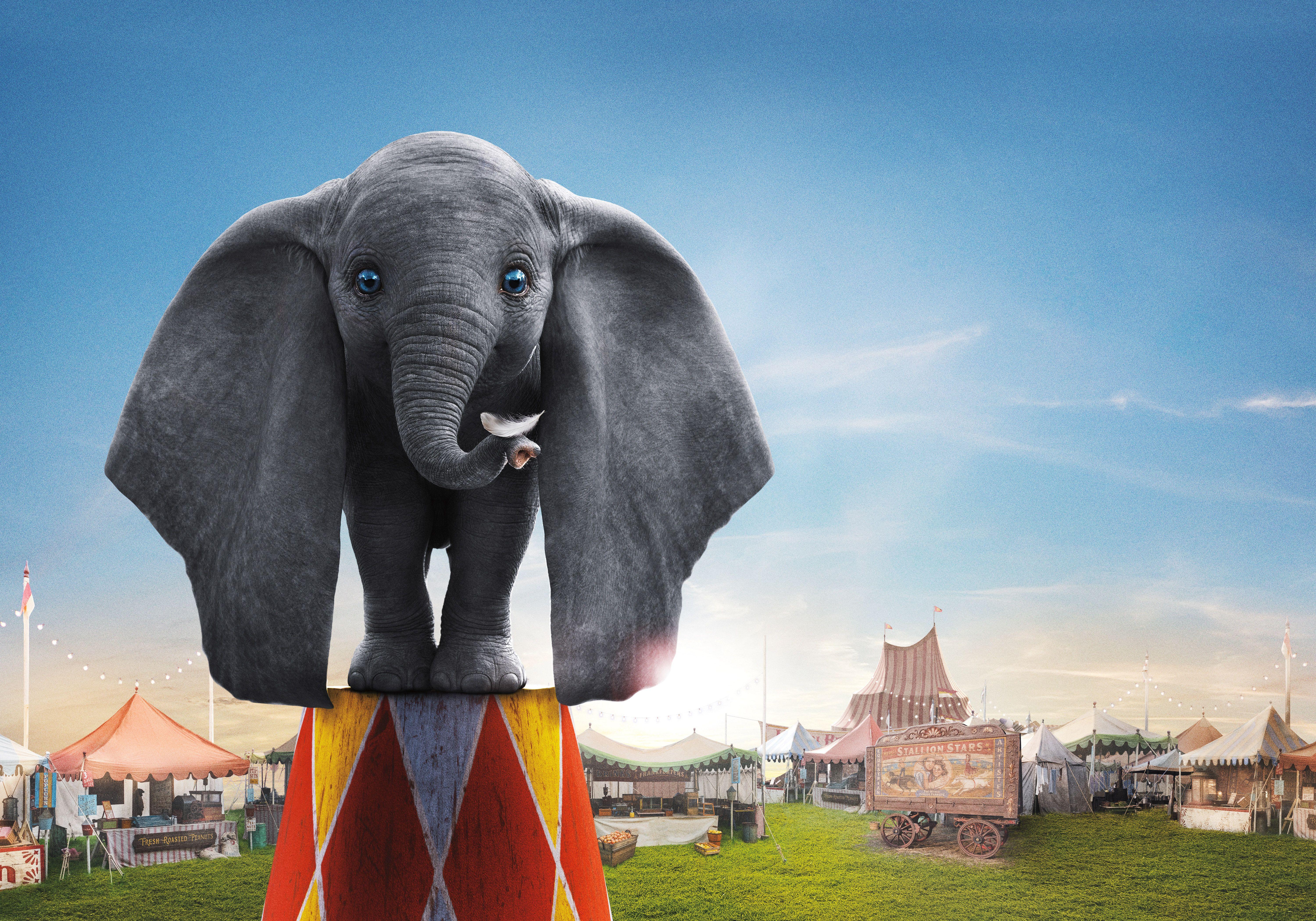 6000x4200 Wallpaper Dumbo, Animation, 5K, Movies